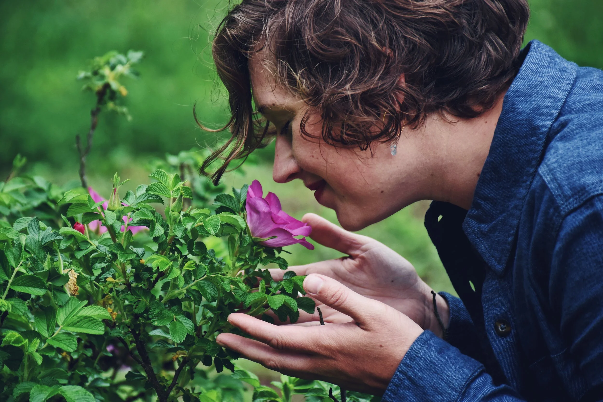 Herbal Allergy Relief @ Grounds for Sculpture
