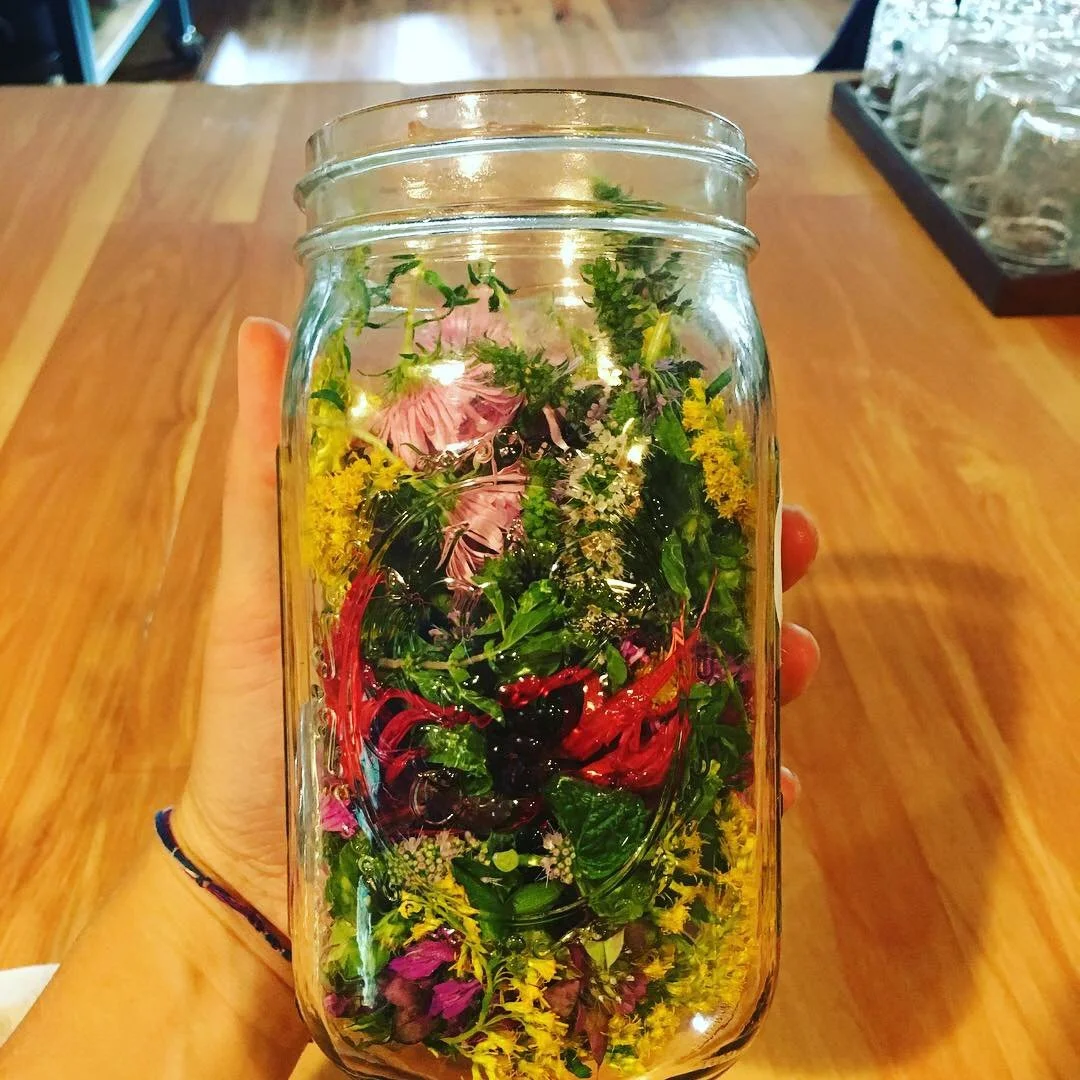 Medicinal Culinary Herbs