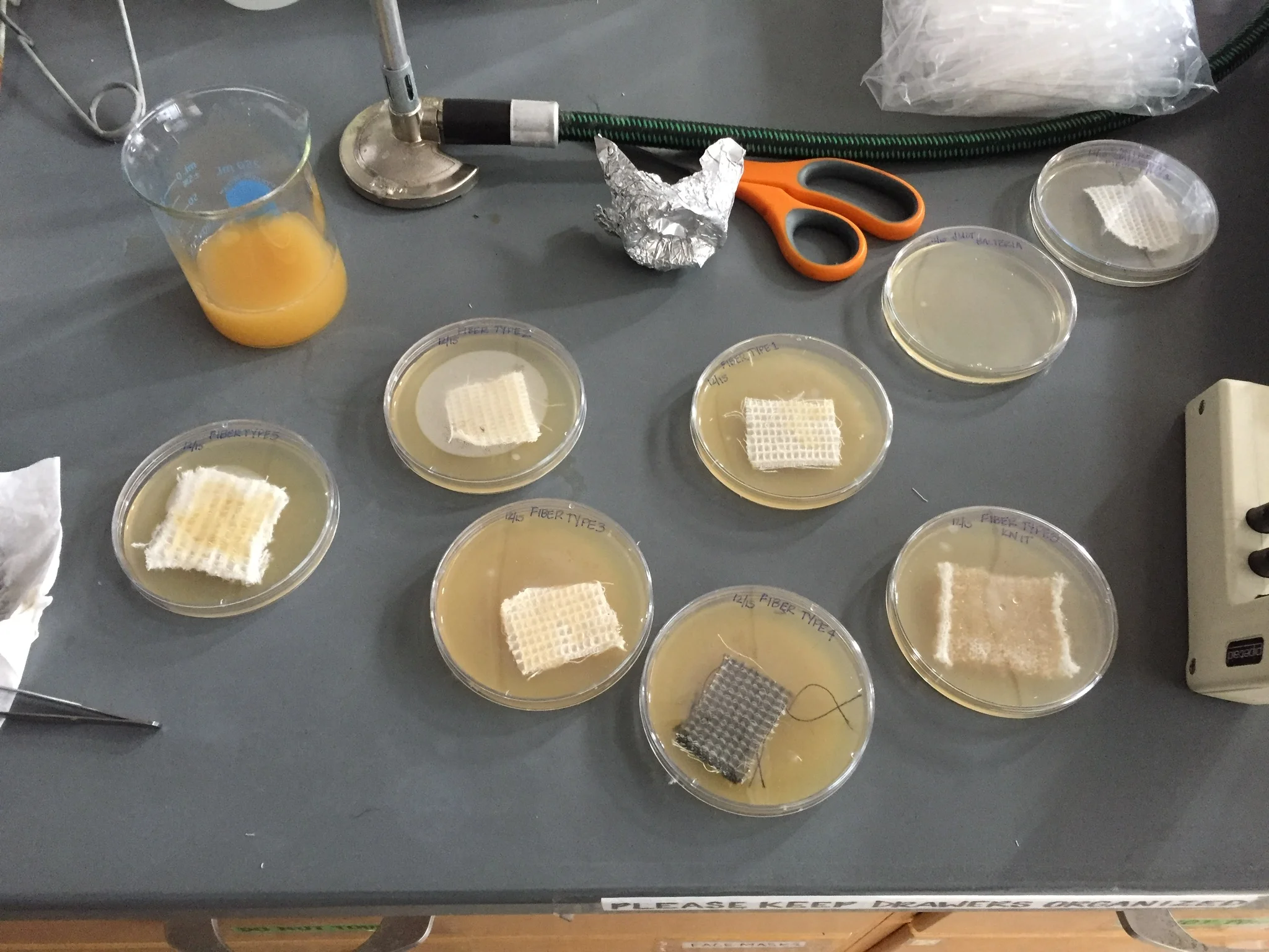 first fiber type trials