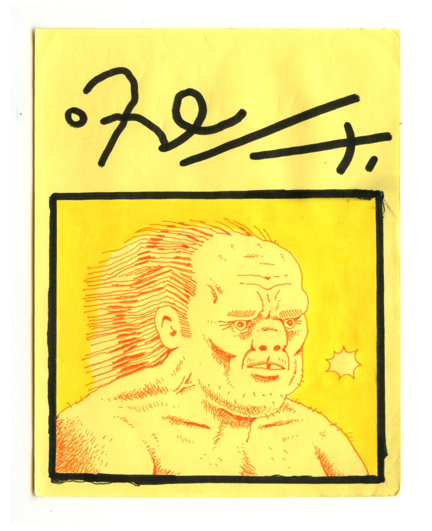 25.jpg