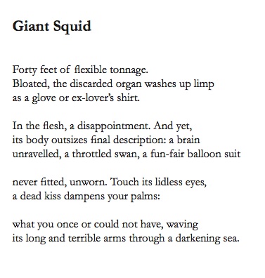 Giant Squid.jpg