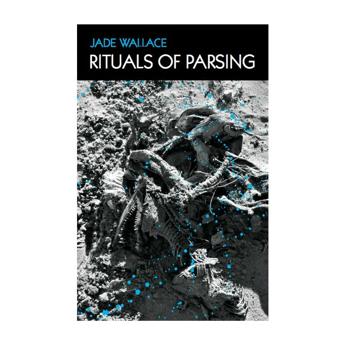 Rituals of Parsing cover.jpg