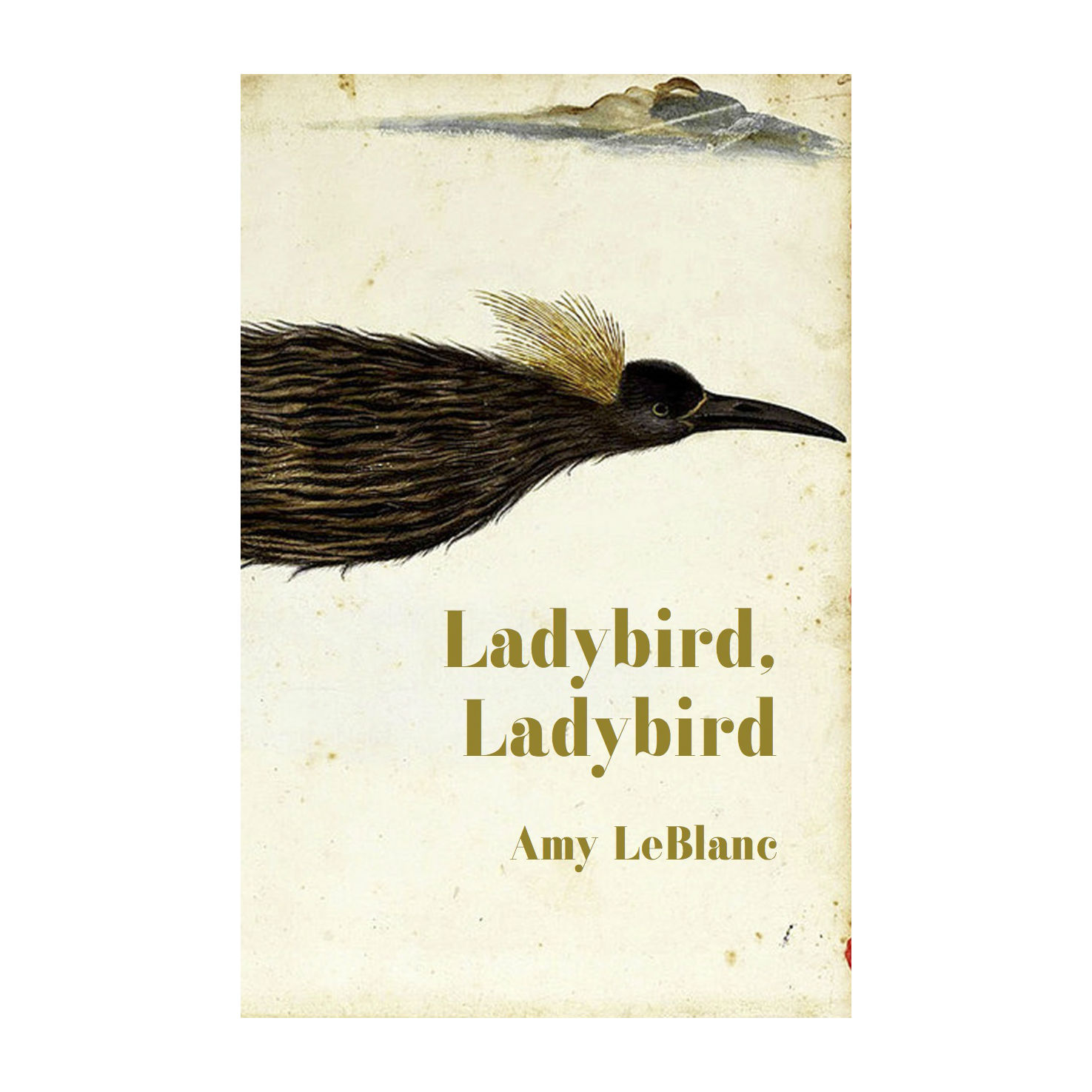 Ladybird Ladybird Half Cover.jpg