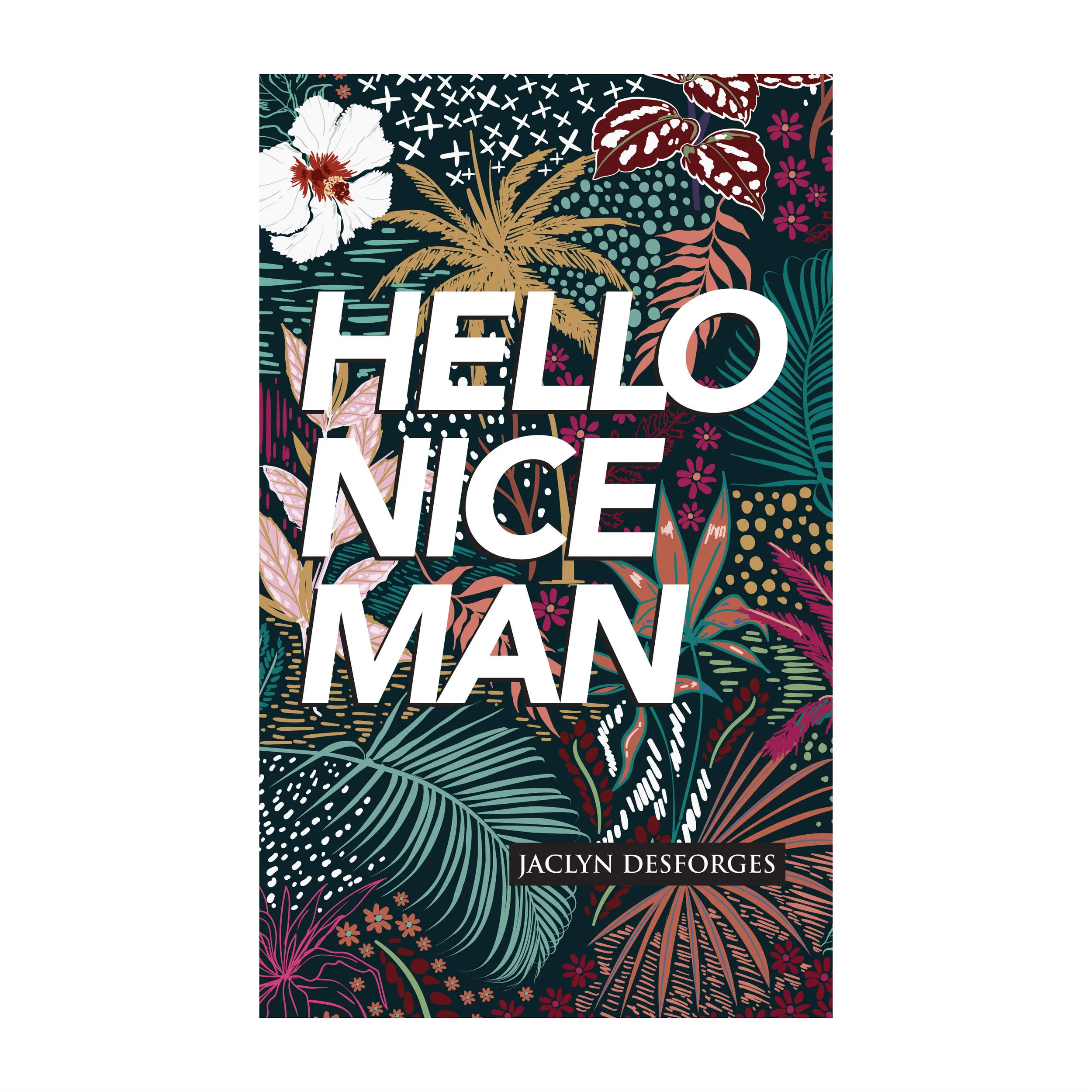 Hello-Nice-Man-Cover.jpg