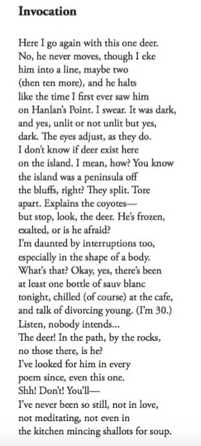 Merpaw - Invocation.jpg