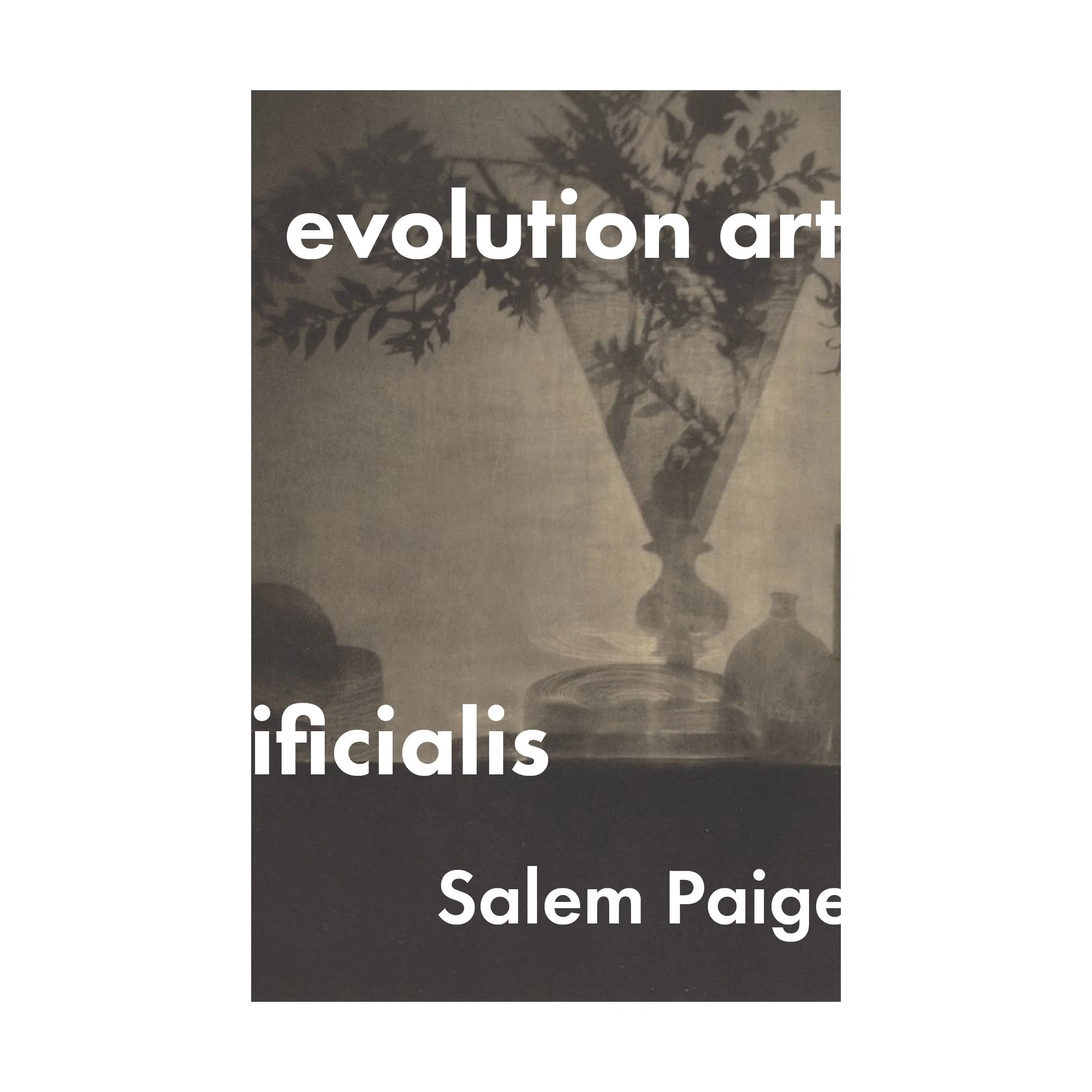 evolution artificialis Cover.jpg