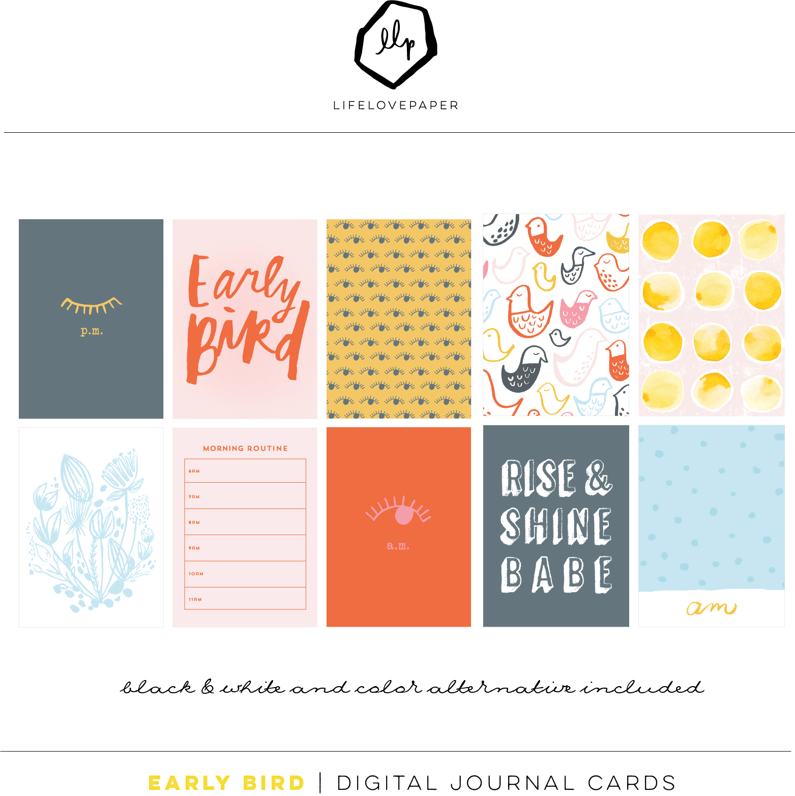 shop_EB_3.png