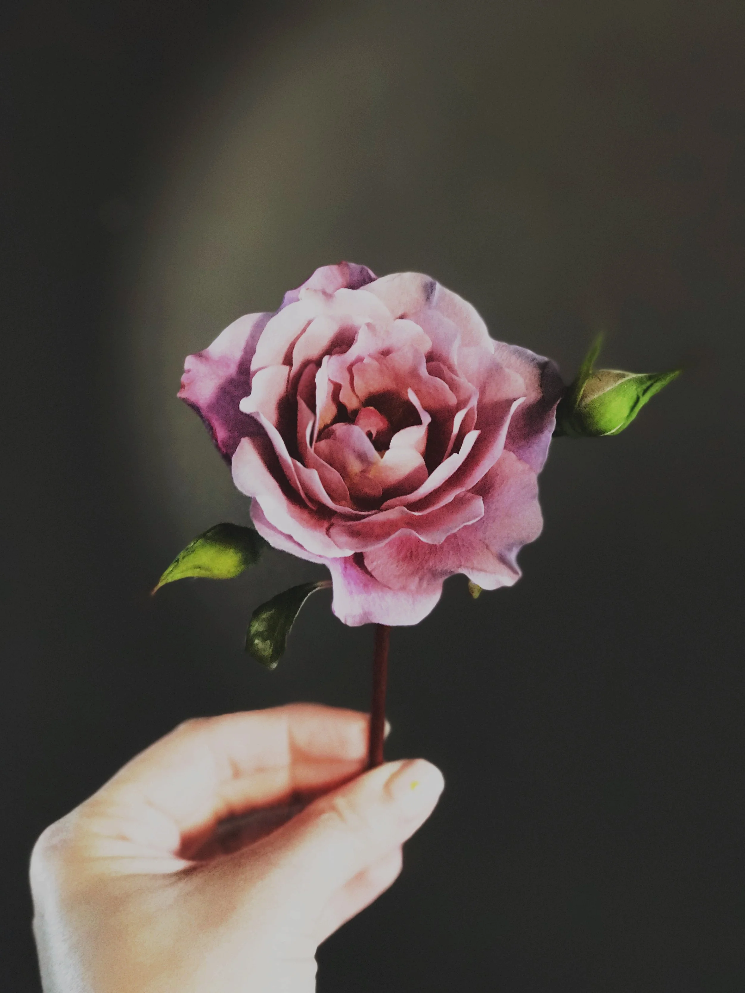 lifelovepaper - portland rose