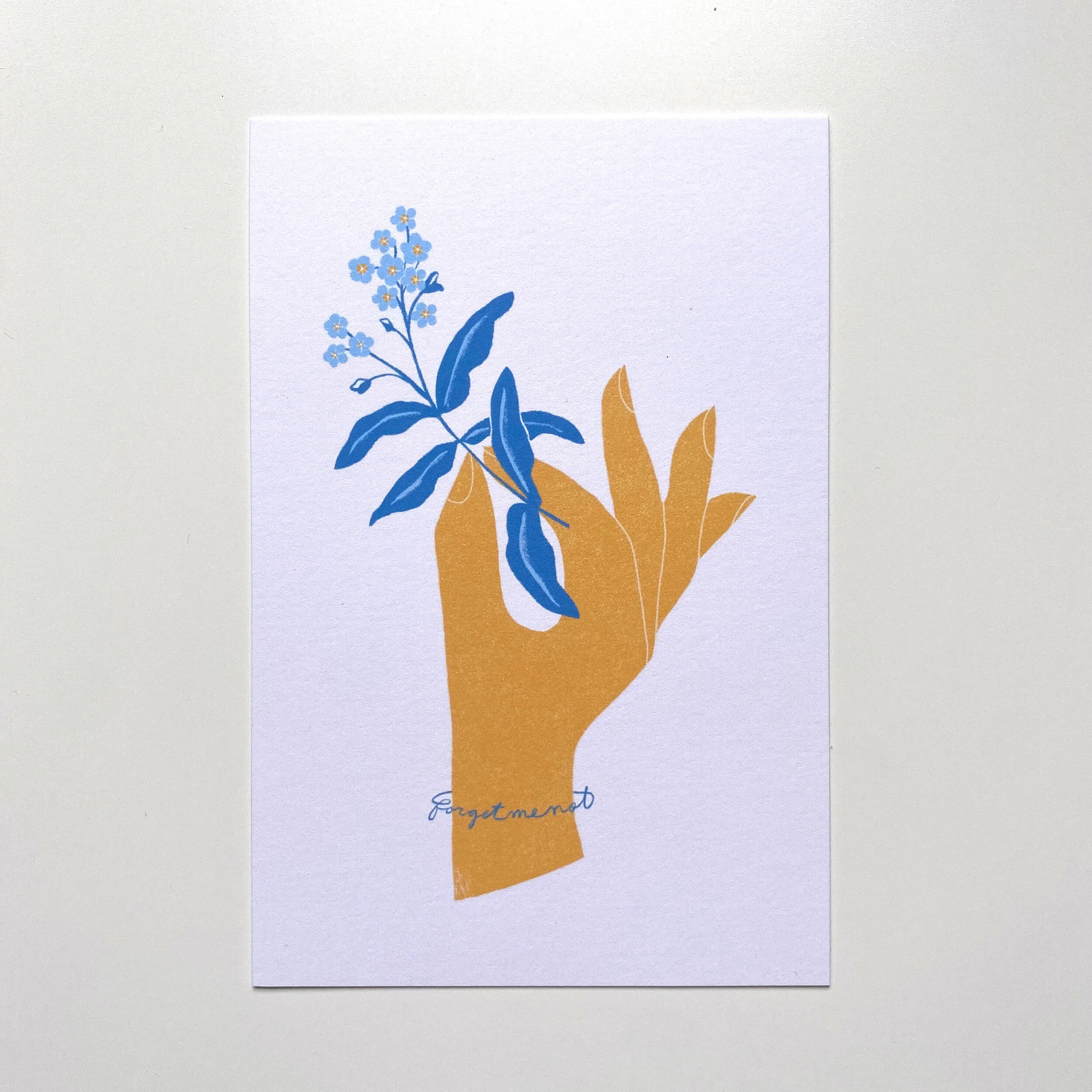 forget me not front.jpg