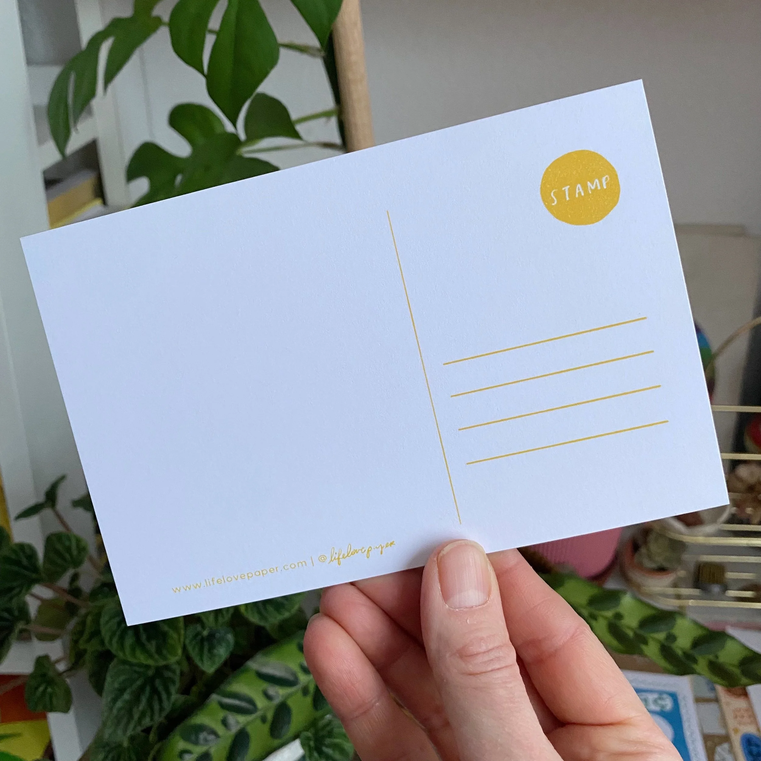 back postcard rainbow and pattern.jpg