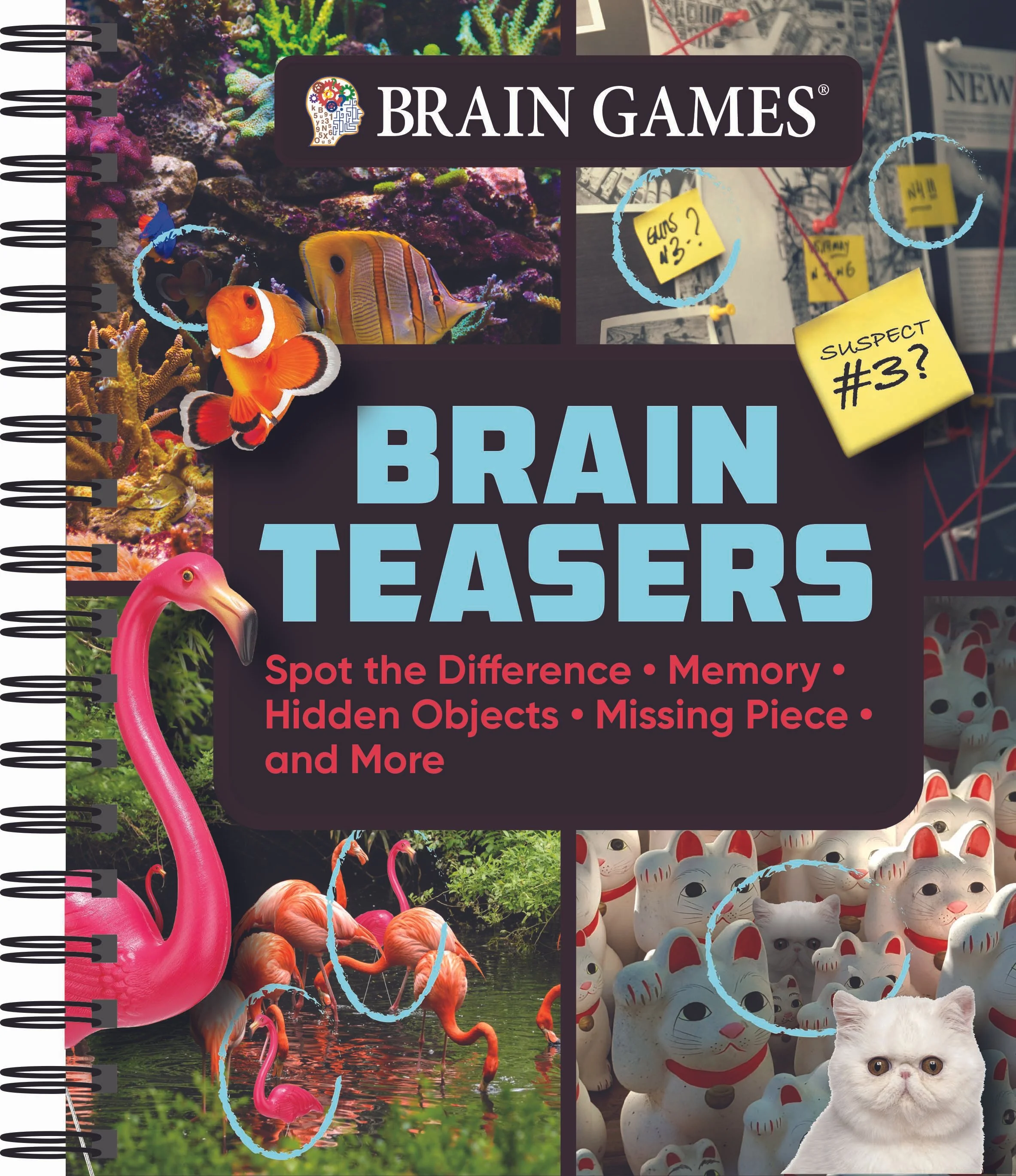 BG_Brain Teasers_v2.jpg