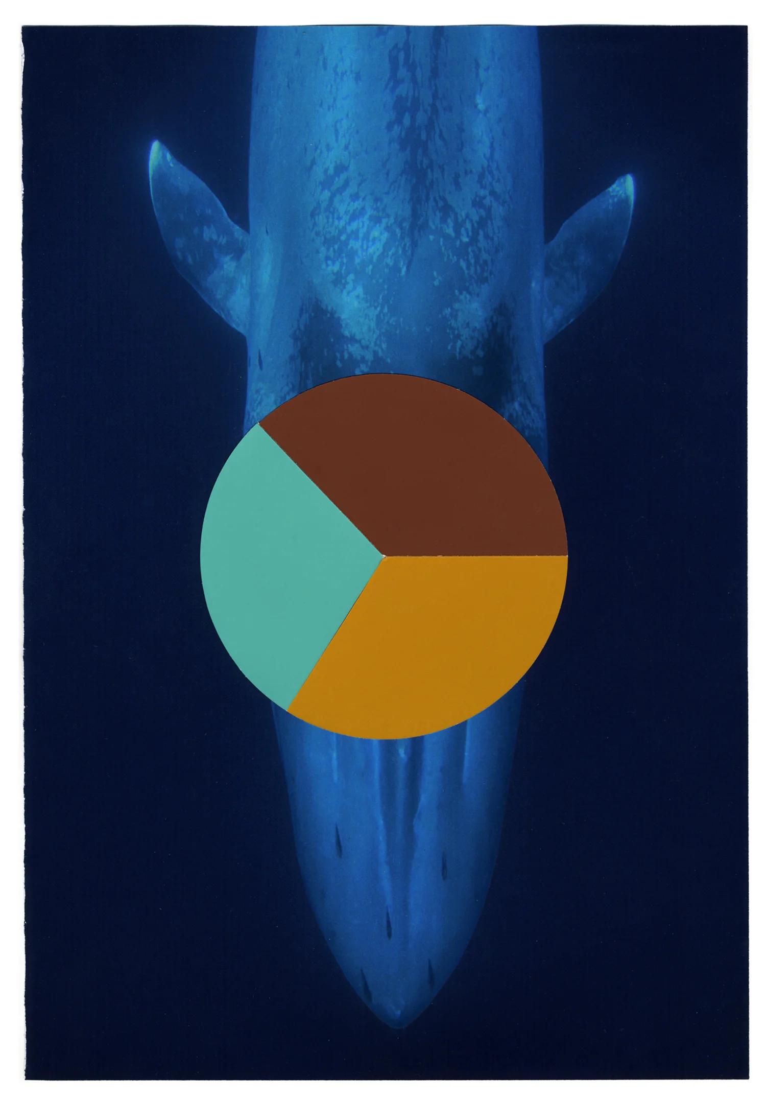 How much do you personally worry about extinction of plant and animal species? (Blue Whale), collaged Color-aid on found National Geographic magazine page , 12.75 x 9.5 in, 2009