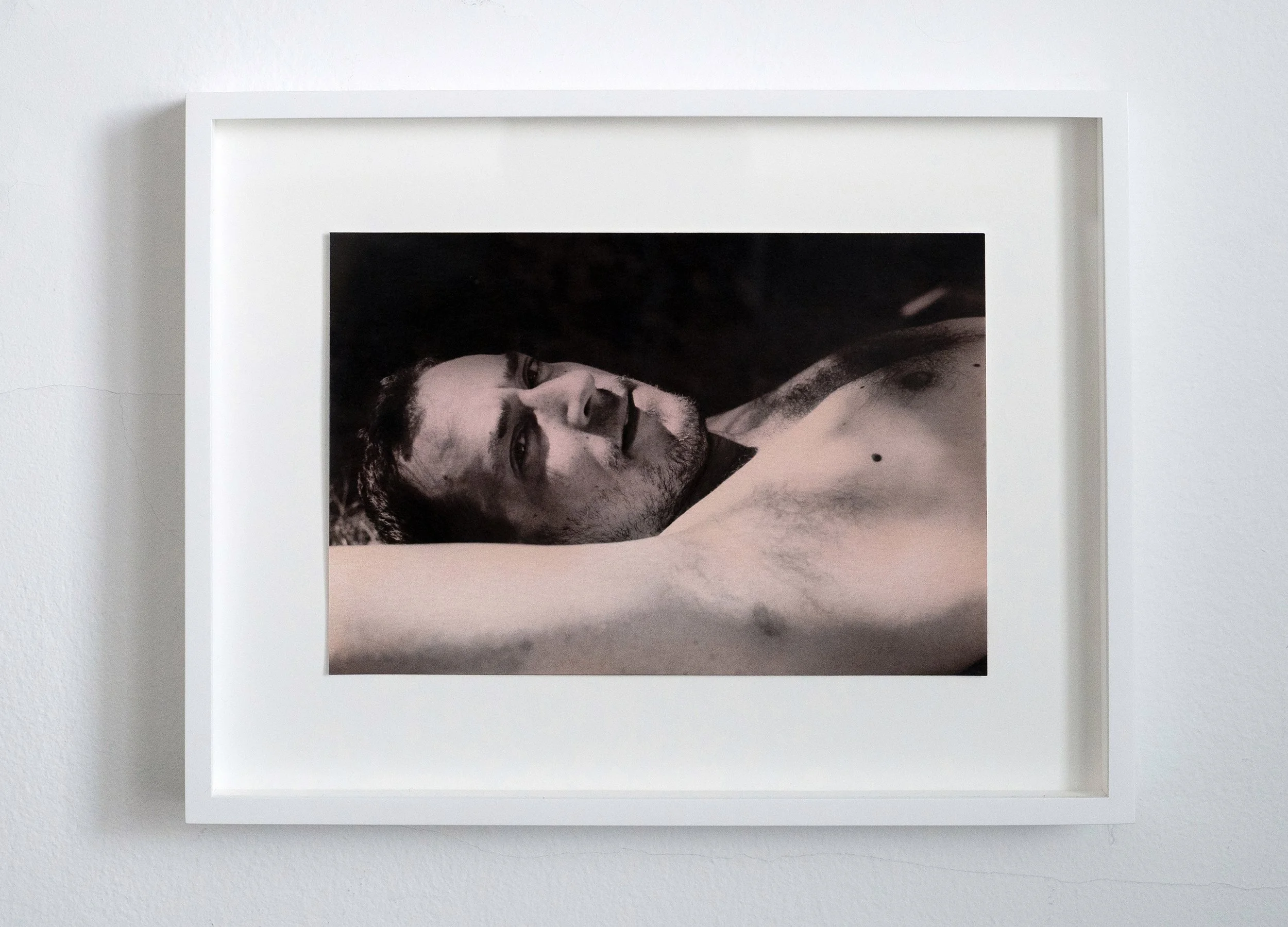   Steve  (Pink), 2023/24 