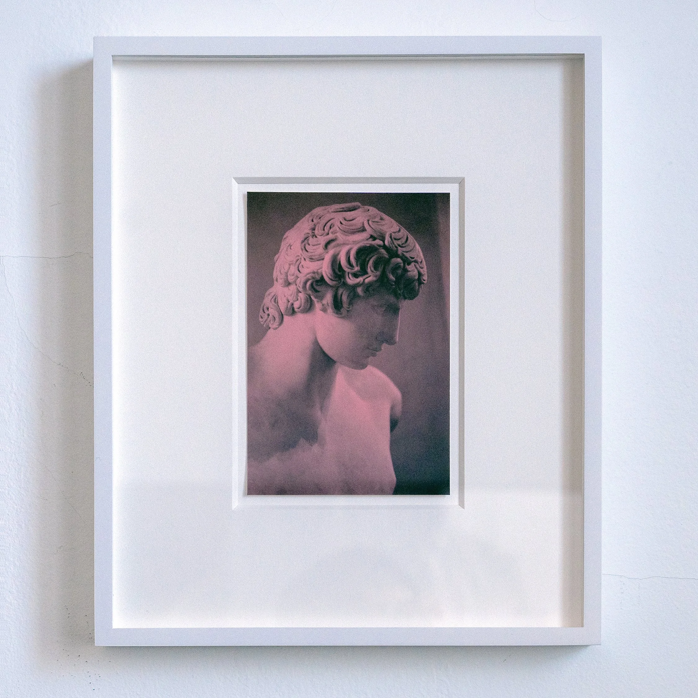   Antinous  (Pink), 2024/25 