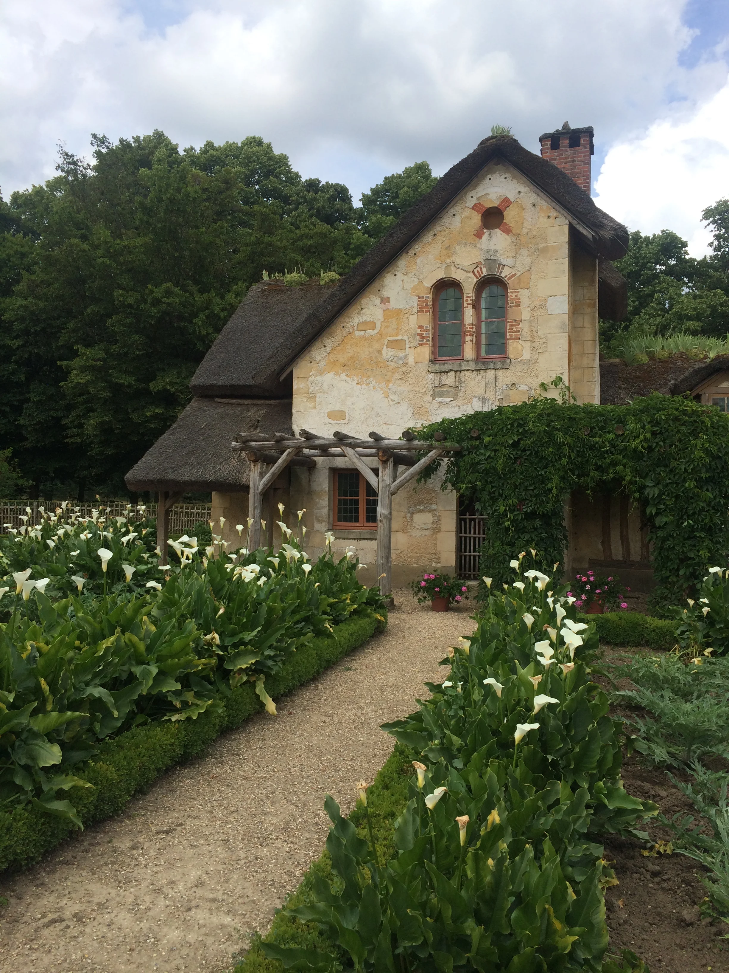 2014-06-27 15.07.30.jpg