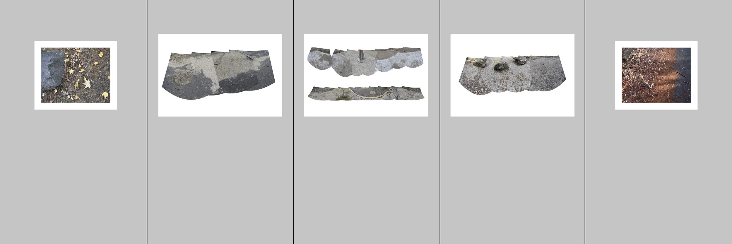 Set 3 (low res).jpg