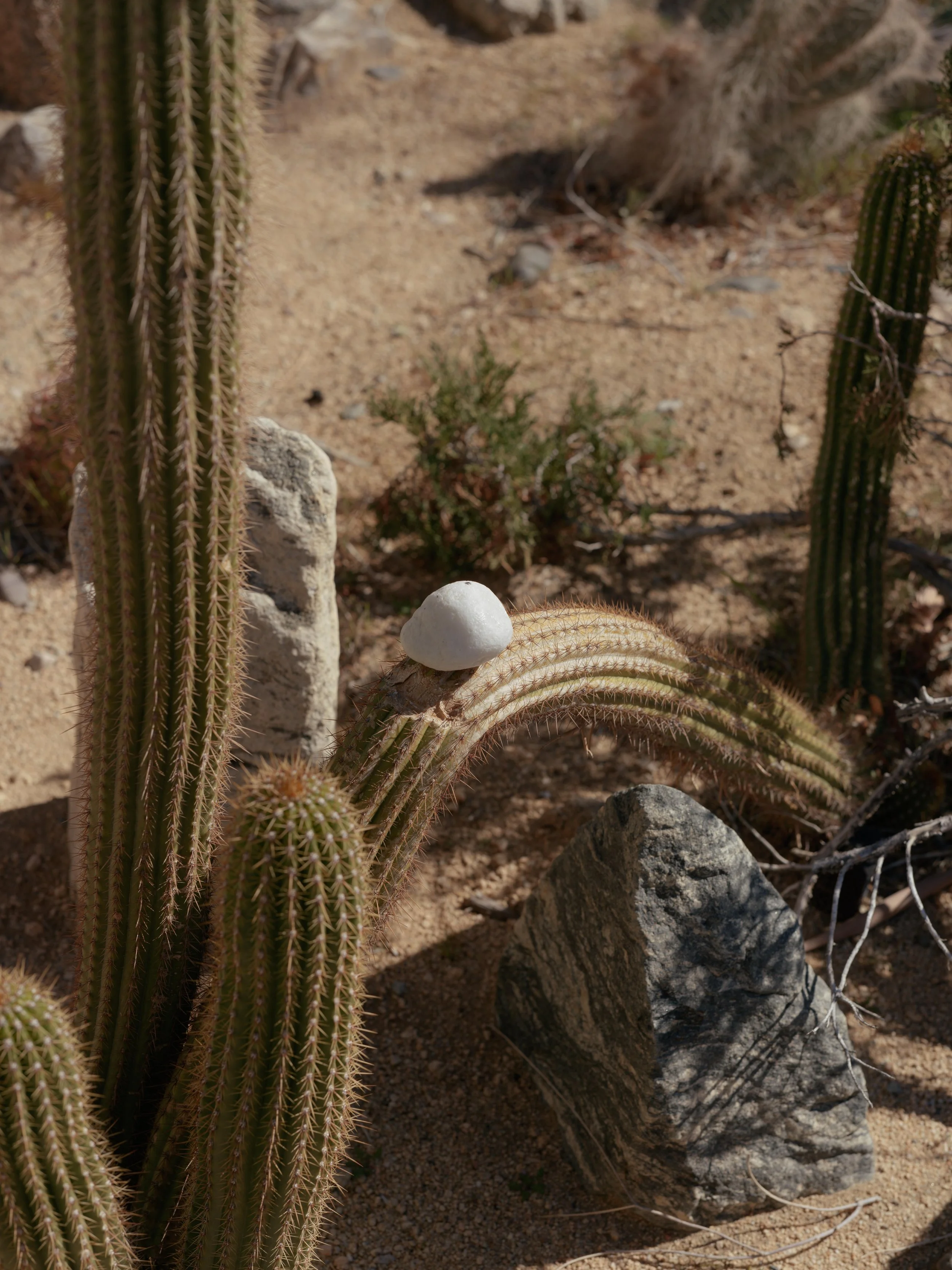 Lingering for Eternity08.jpg