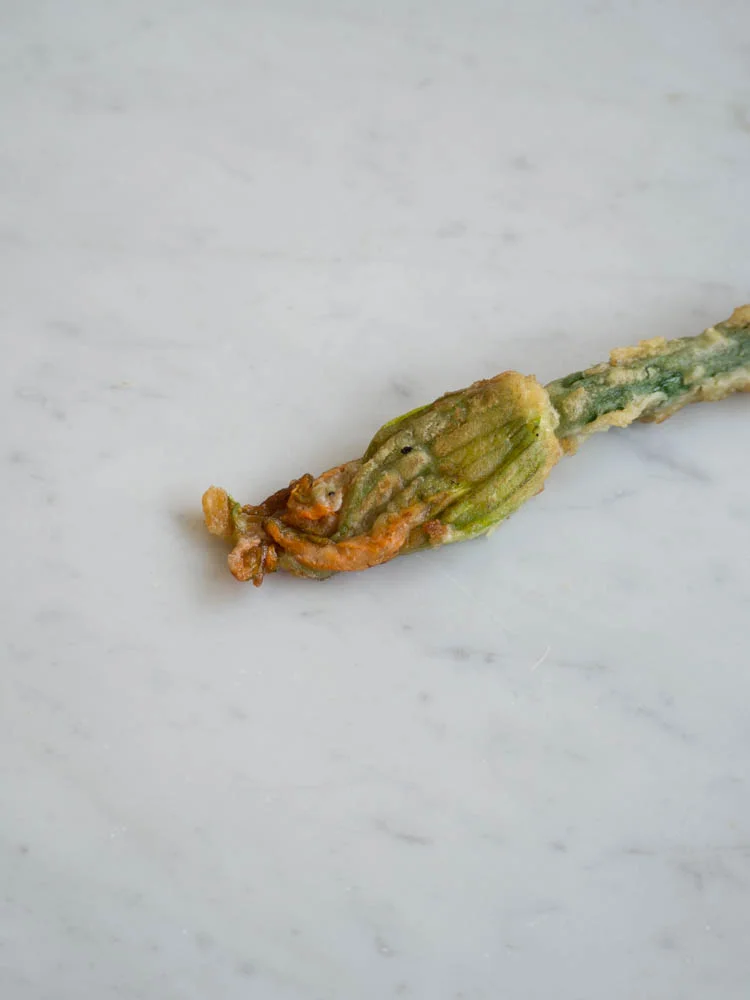 Shallow Fried Zucchini Flowers & Slow Roasted Tomato Sauce — Kulinary Adventures of Kath