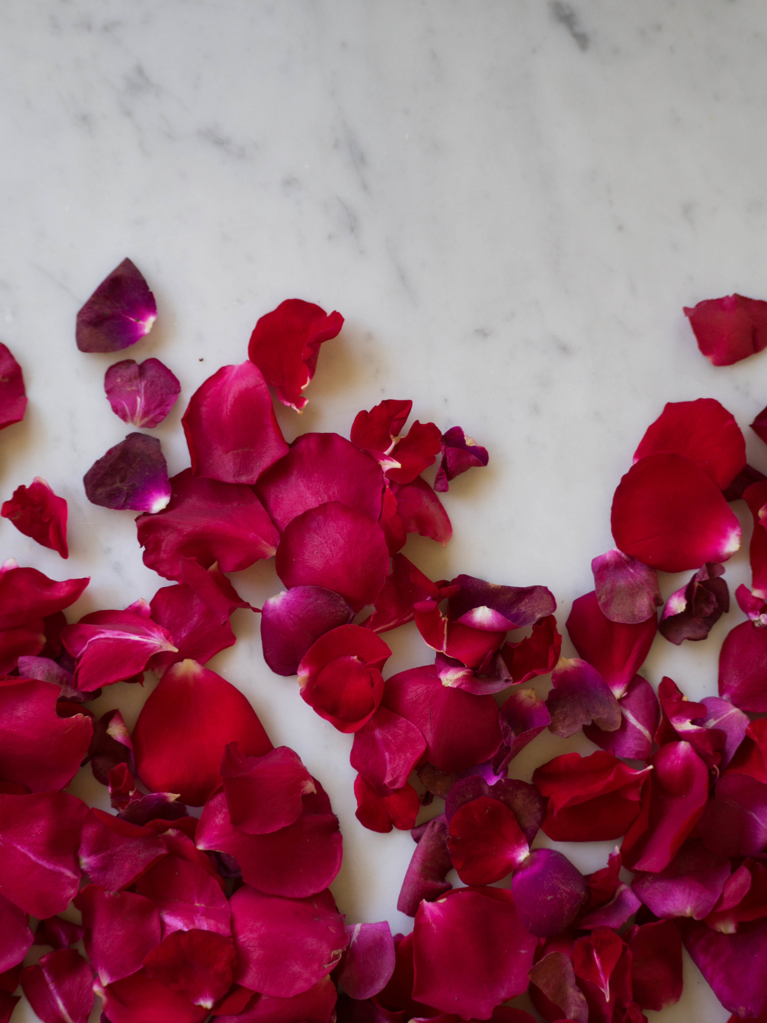 Homemade Crystallised Rose Petals Recipe 