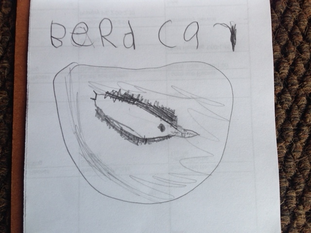 This scientist heard a "bird call" and observed a banana slug.