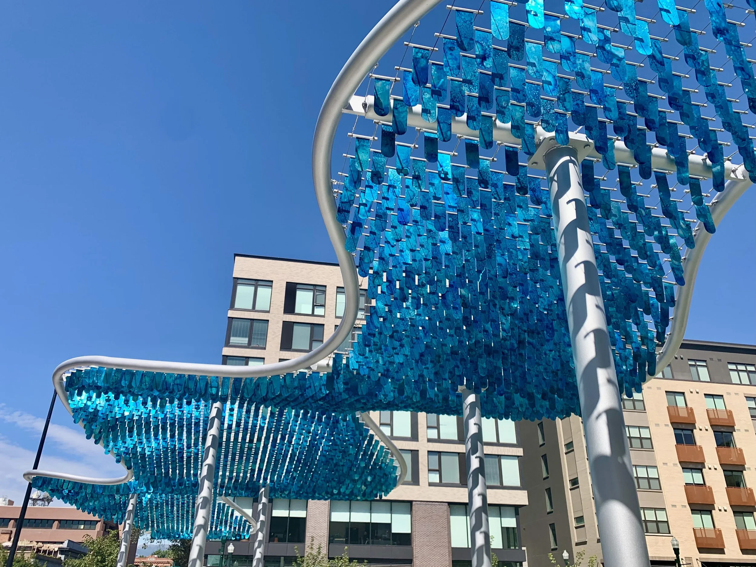 SkyRiver Flappers.jpg