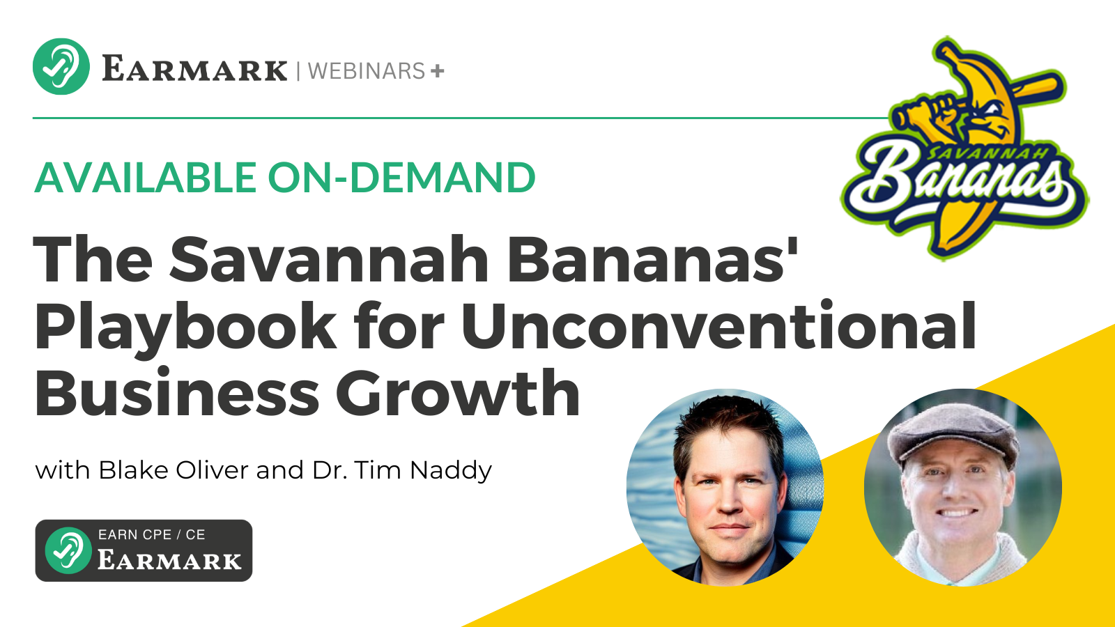 The Savannah Bananas' playbook: Explosive growth strategies for accountants