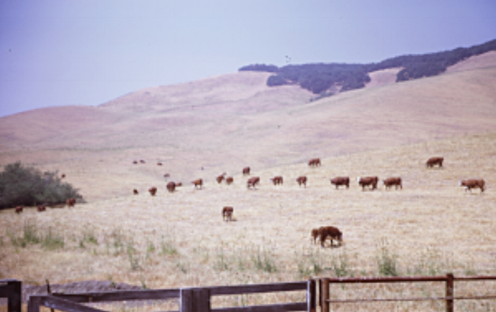 Community — The Moulton Company