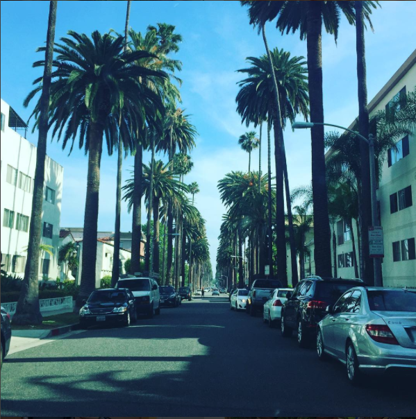 Screen Shot 2017-01-02 at 10.23.32 AM.png