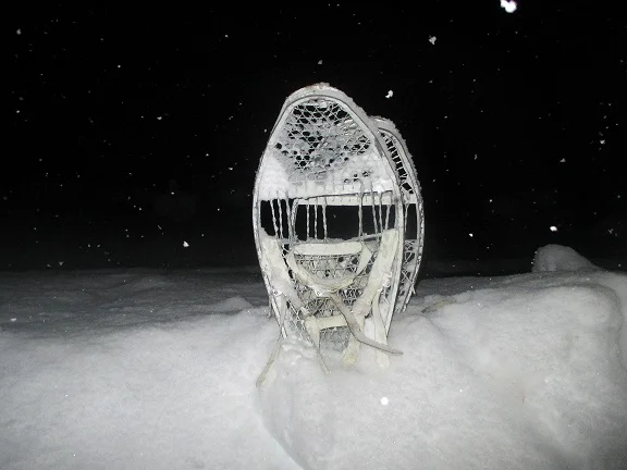 thankgoodness for snowshoes.jpg