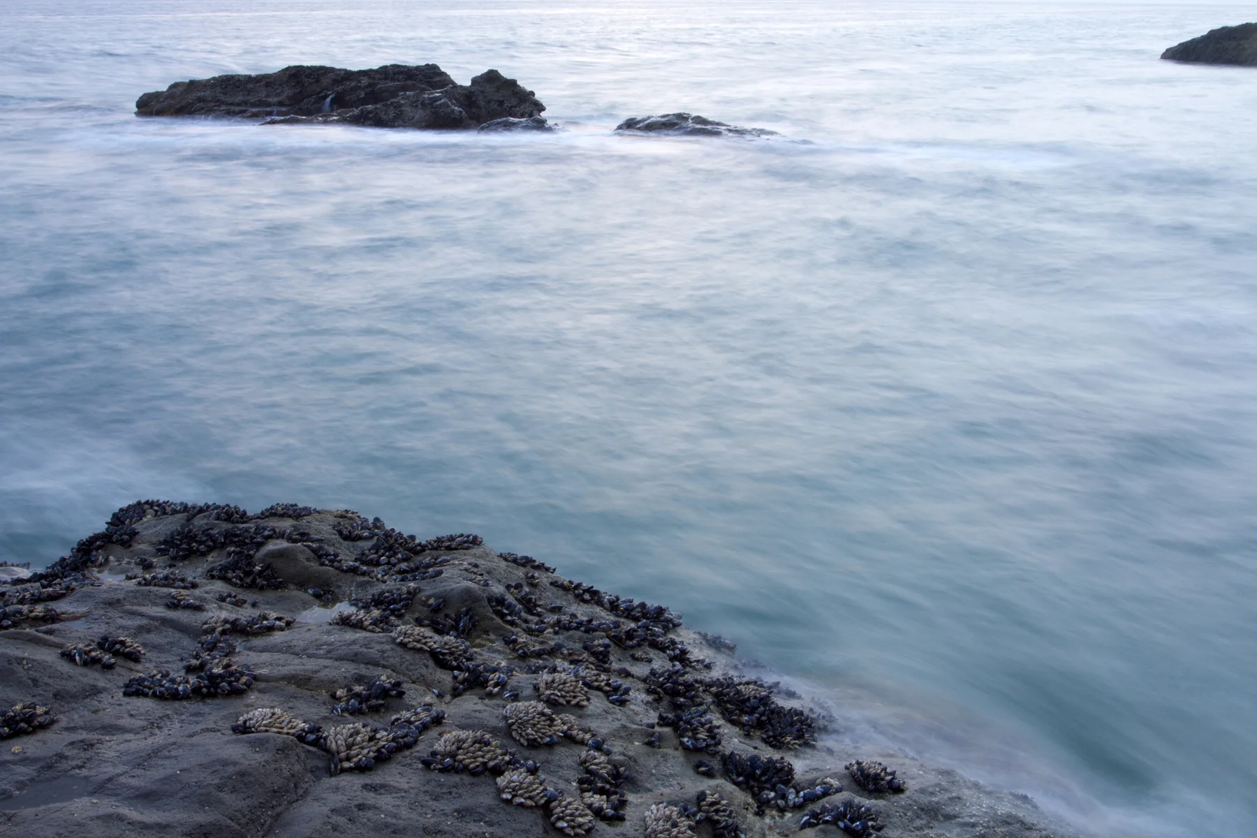 rock waves** IMG_5252.jpg