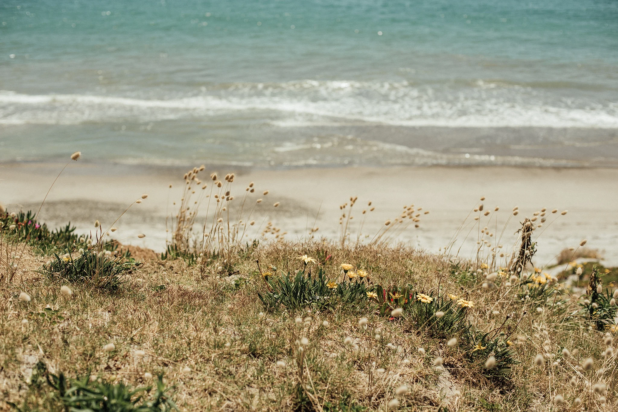 CheTracy-0068.jpg