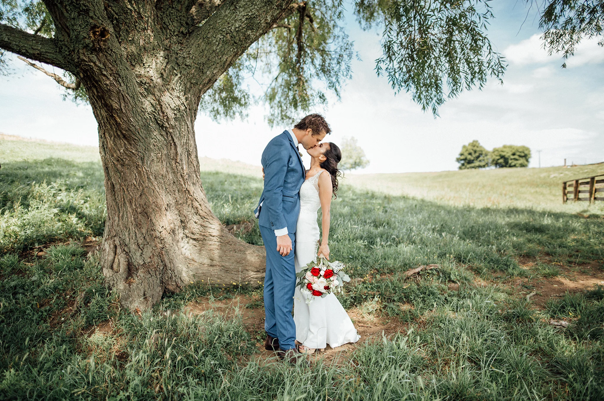 Wedding Photography kiss Te Awamutu Waikato