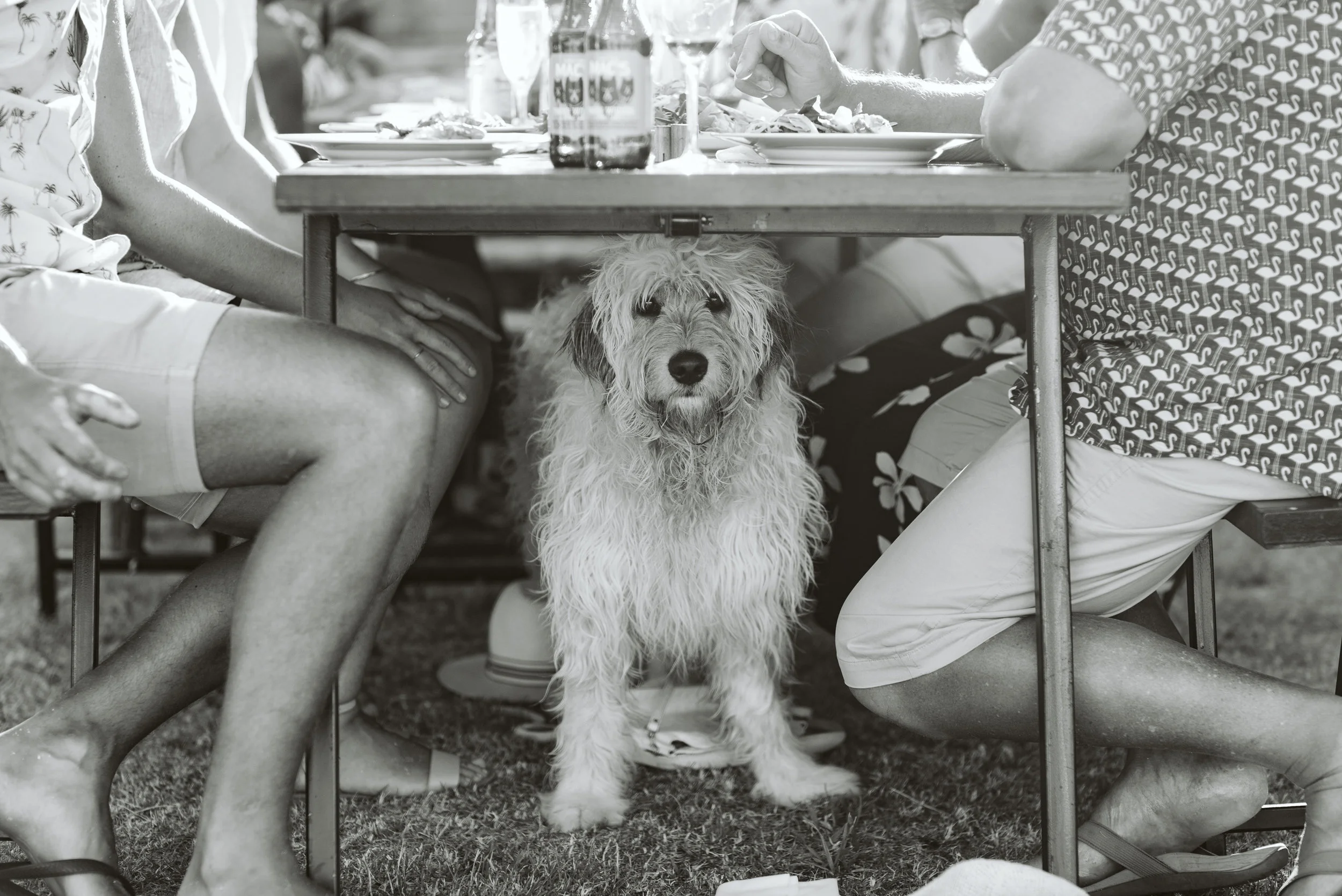 B+Bslideshow_0182.jpg