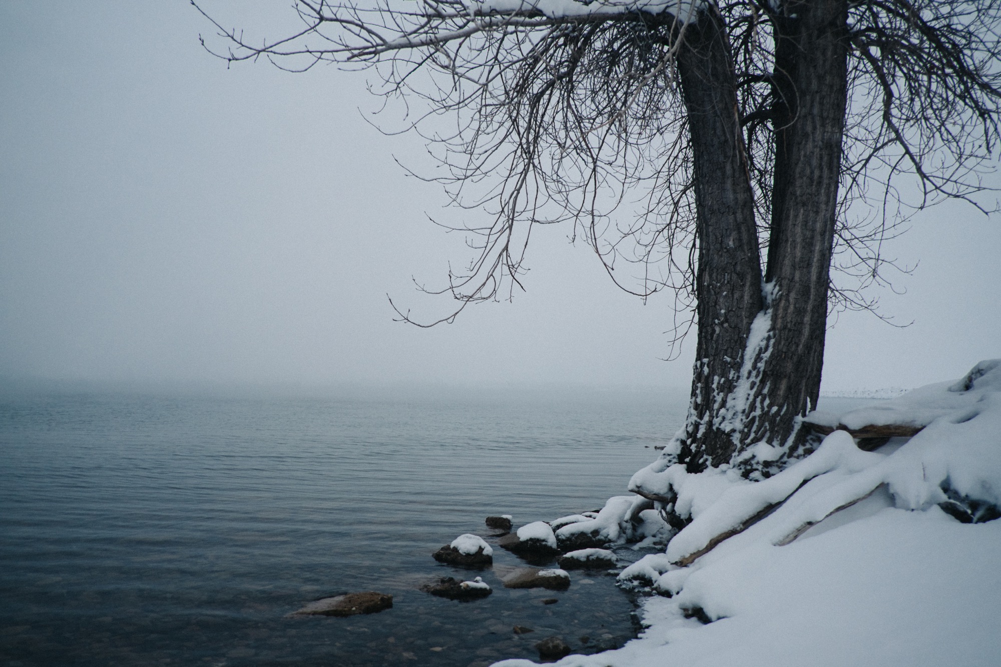 20150222-DSCF3582.jpg