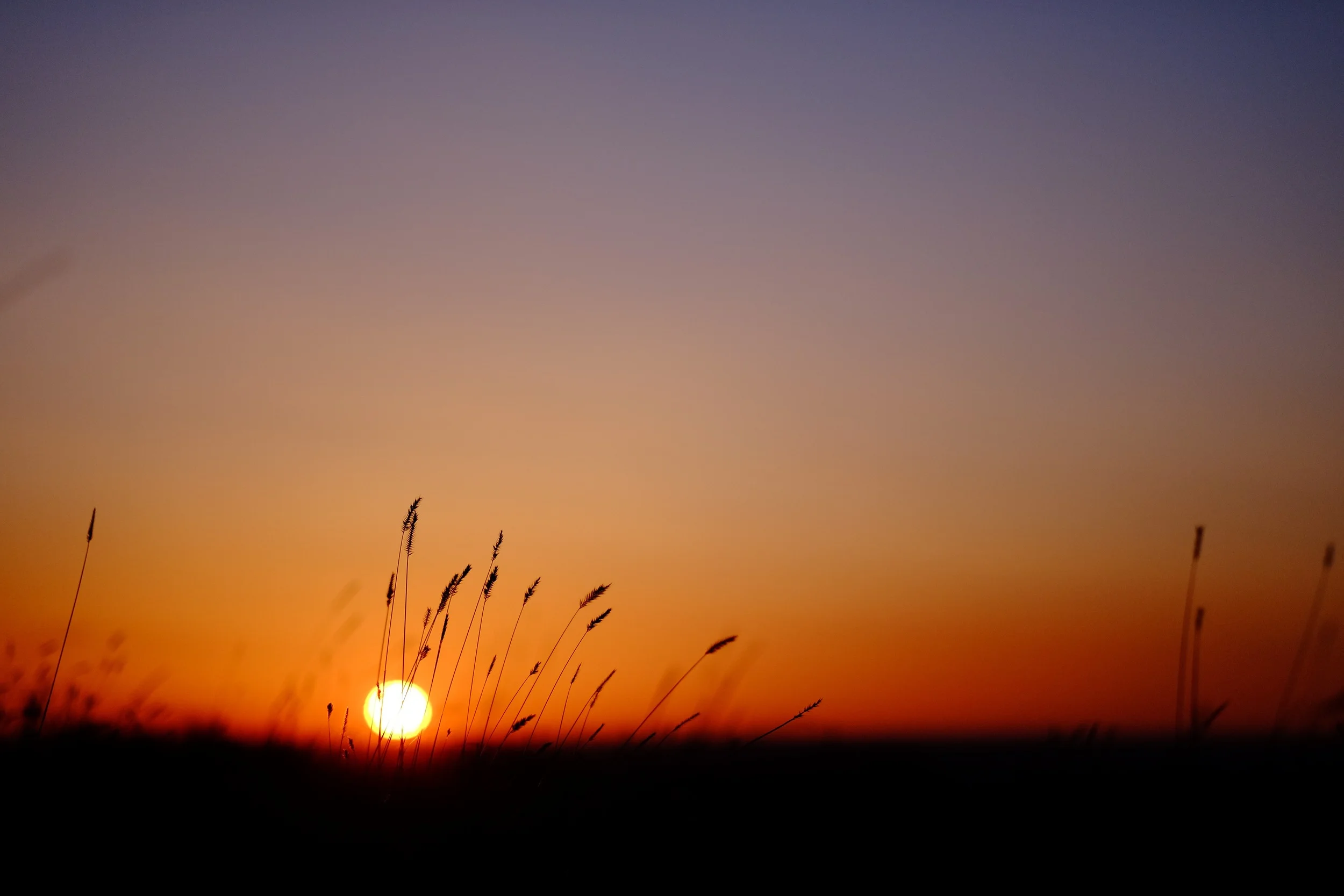 DSCF4110.jpg