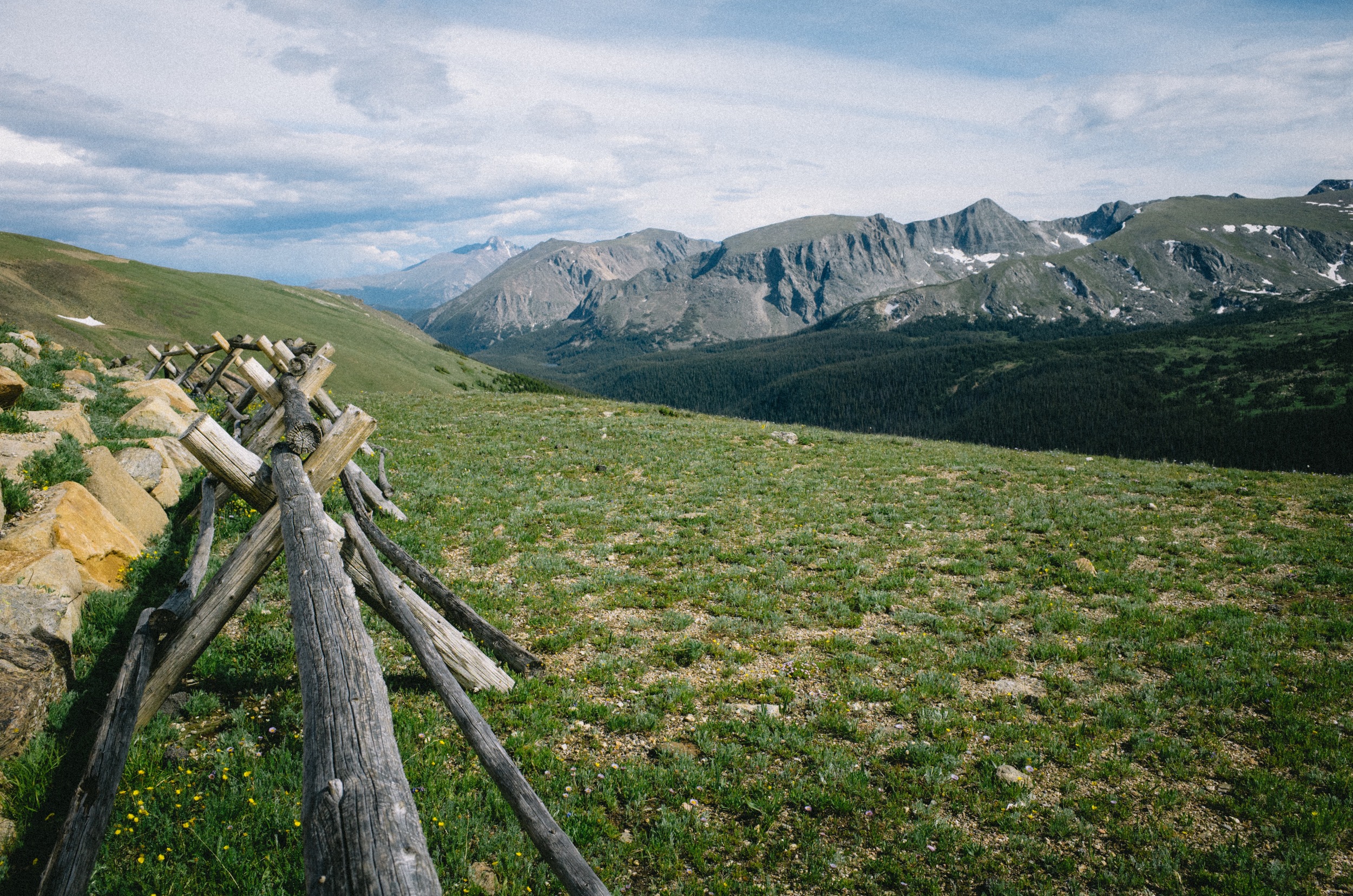 20150715-R0001143.jpg