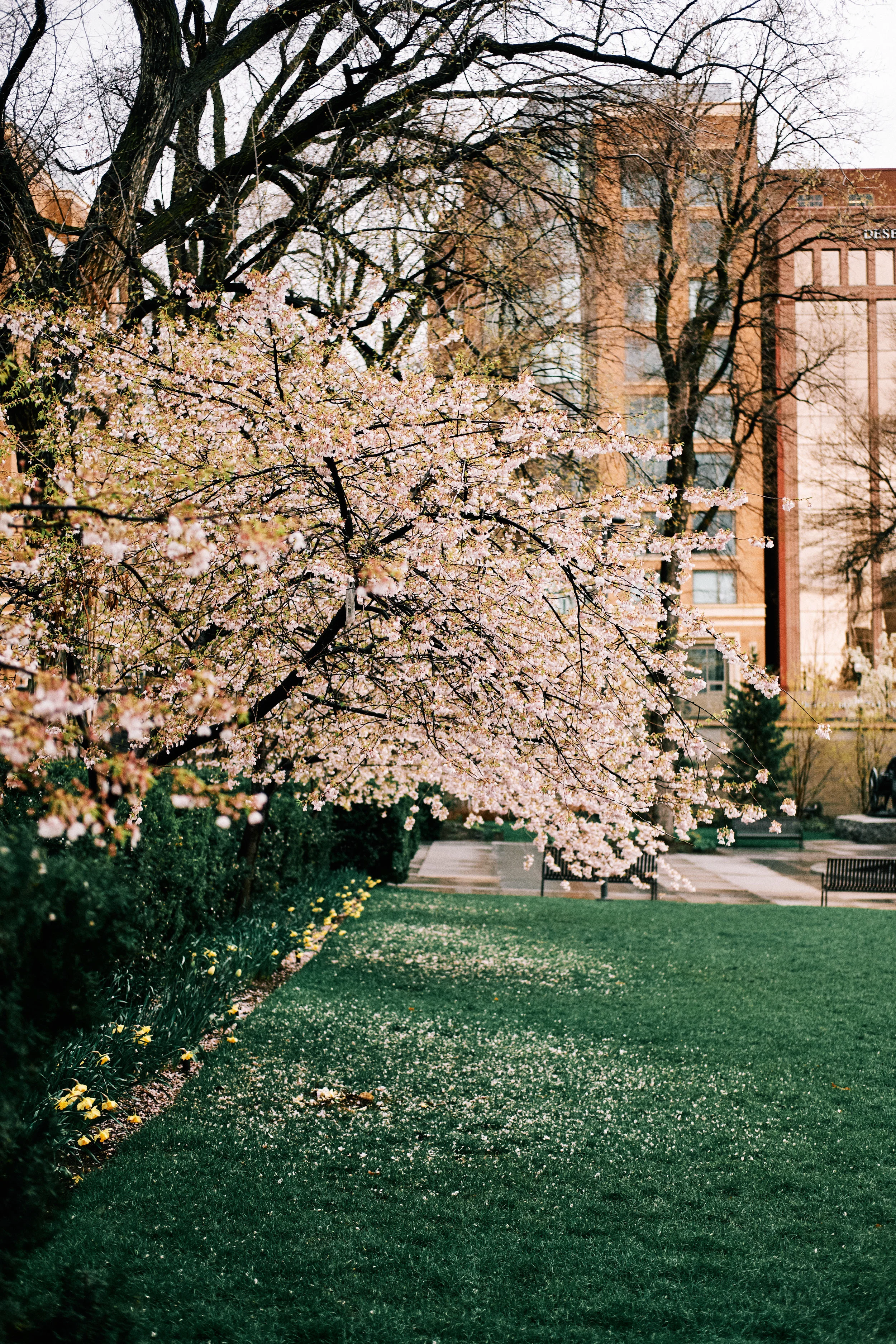 A Week in Salt Lake City - 16.jpg