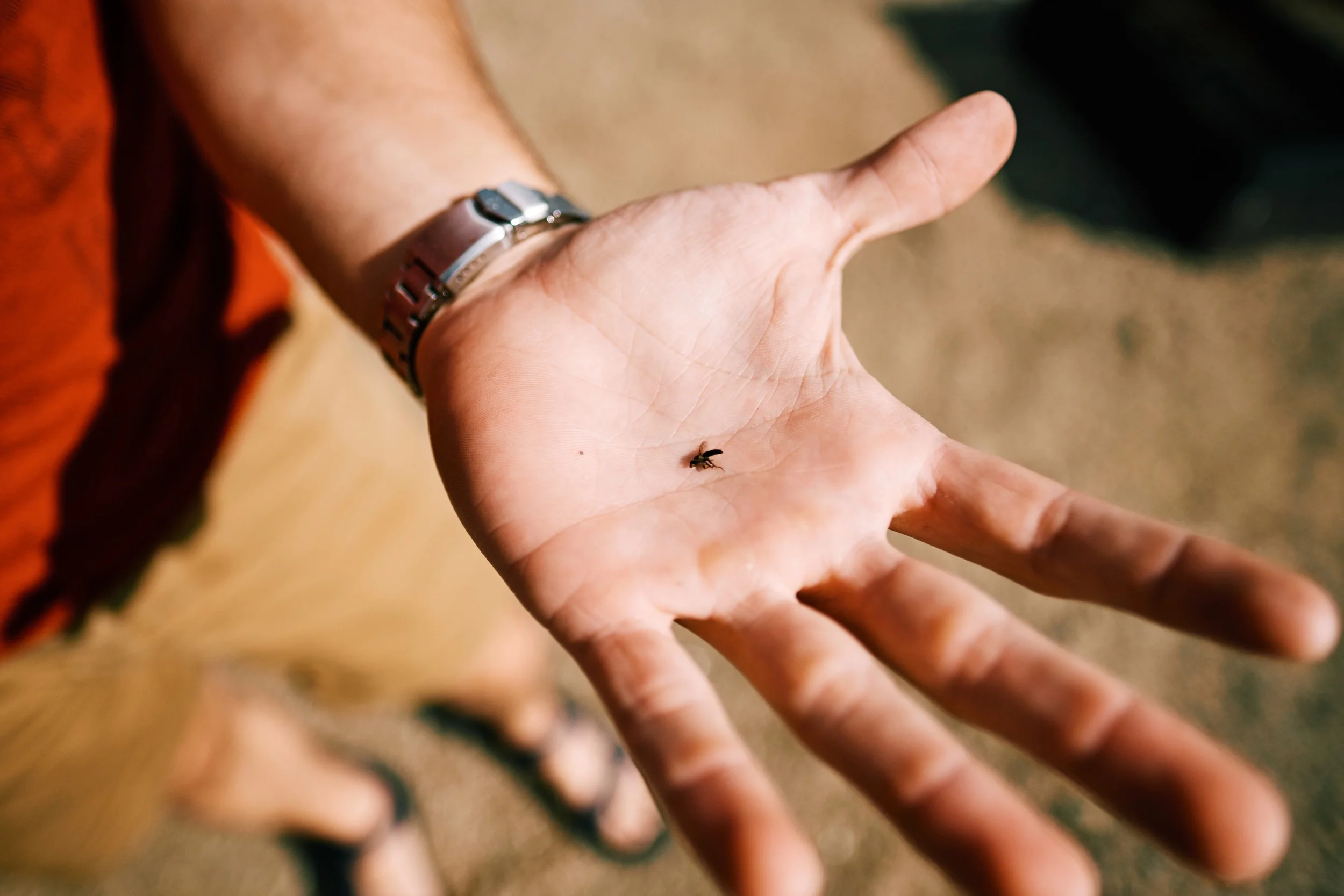 CAMPING TRIP - 23.jpg
