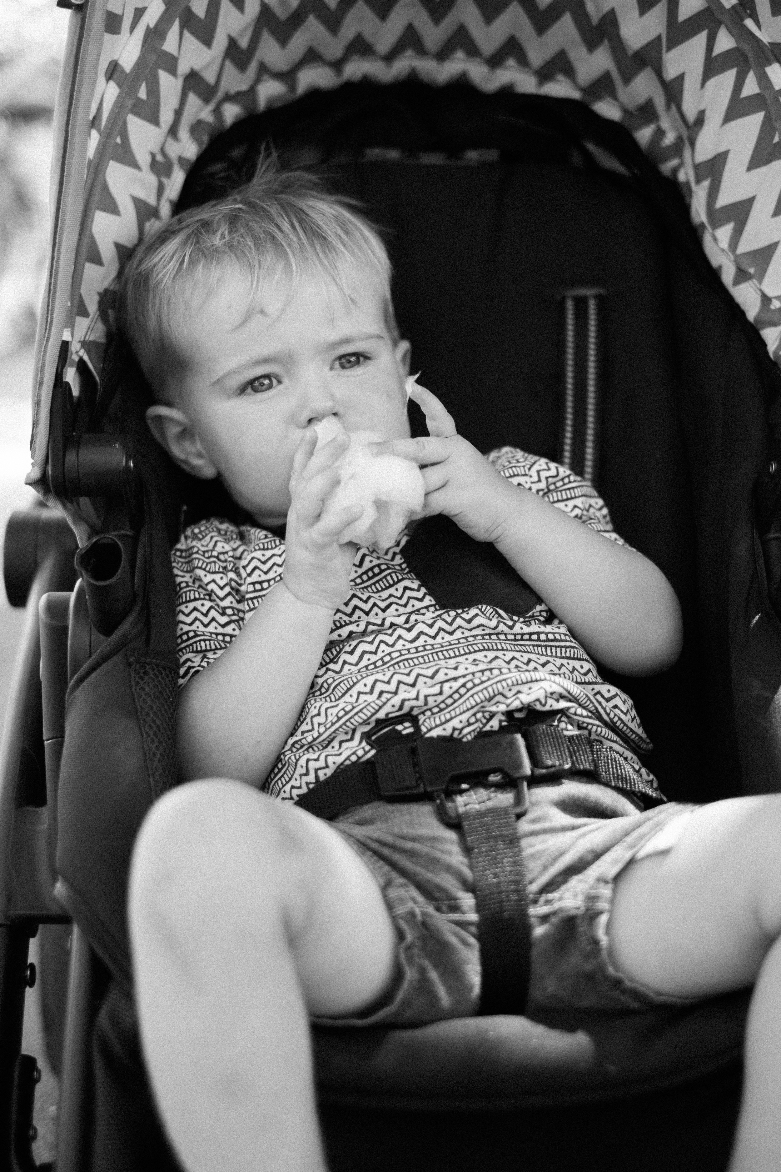 The Denver Zoo - 19.jpeg
