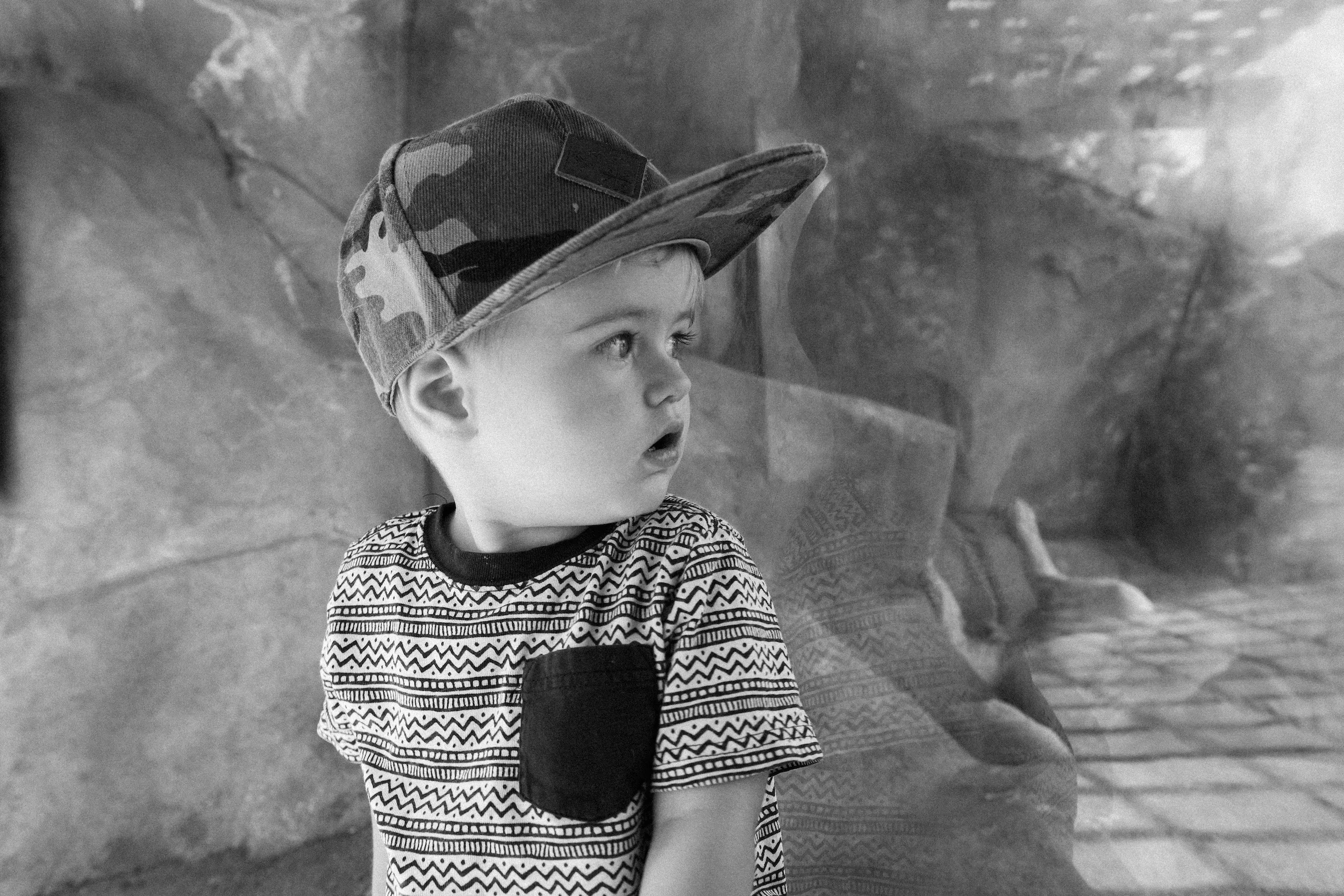 The Denver Zoo - 30.jpeg