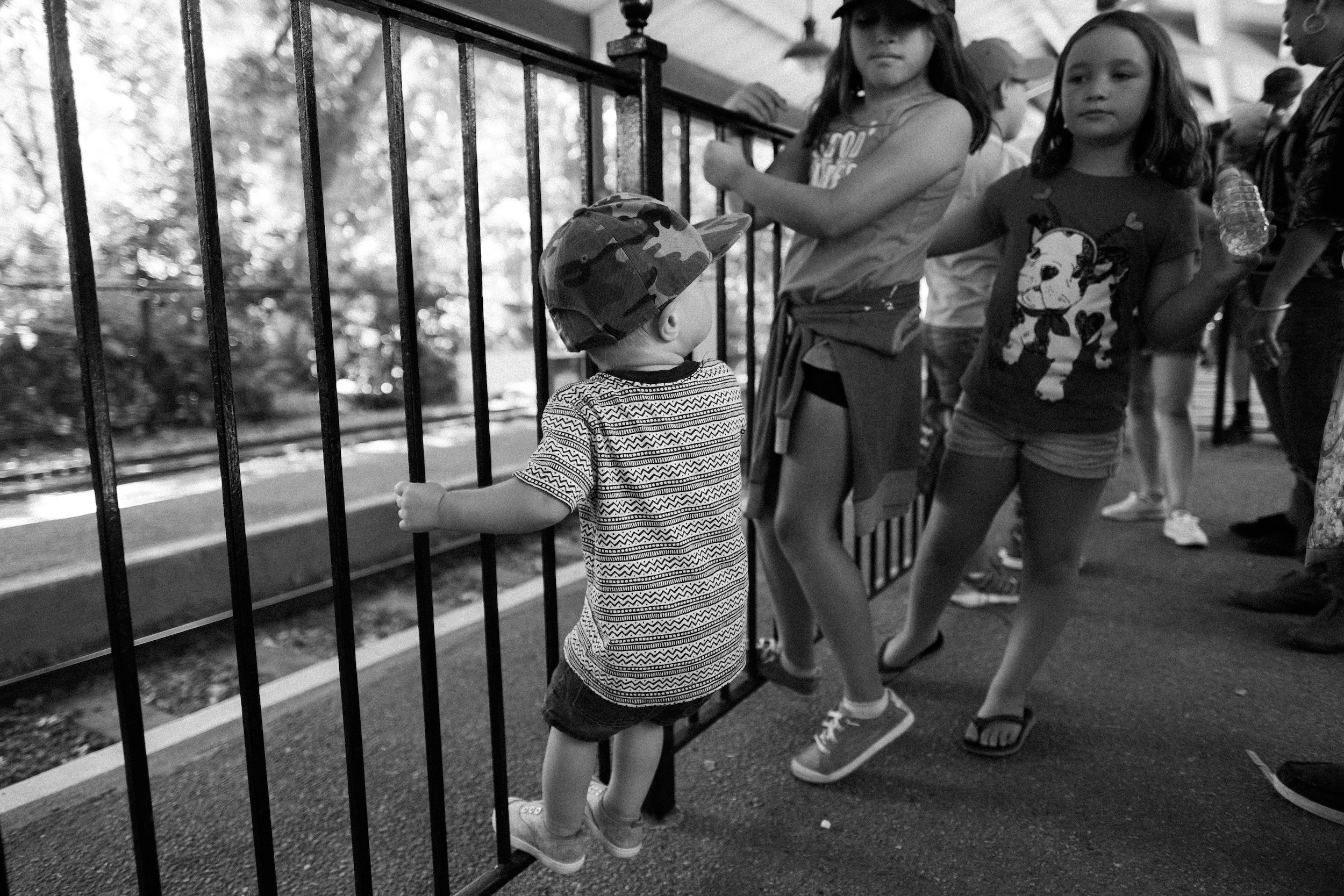 The Denver Zoo - 31.jpeg