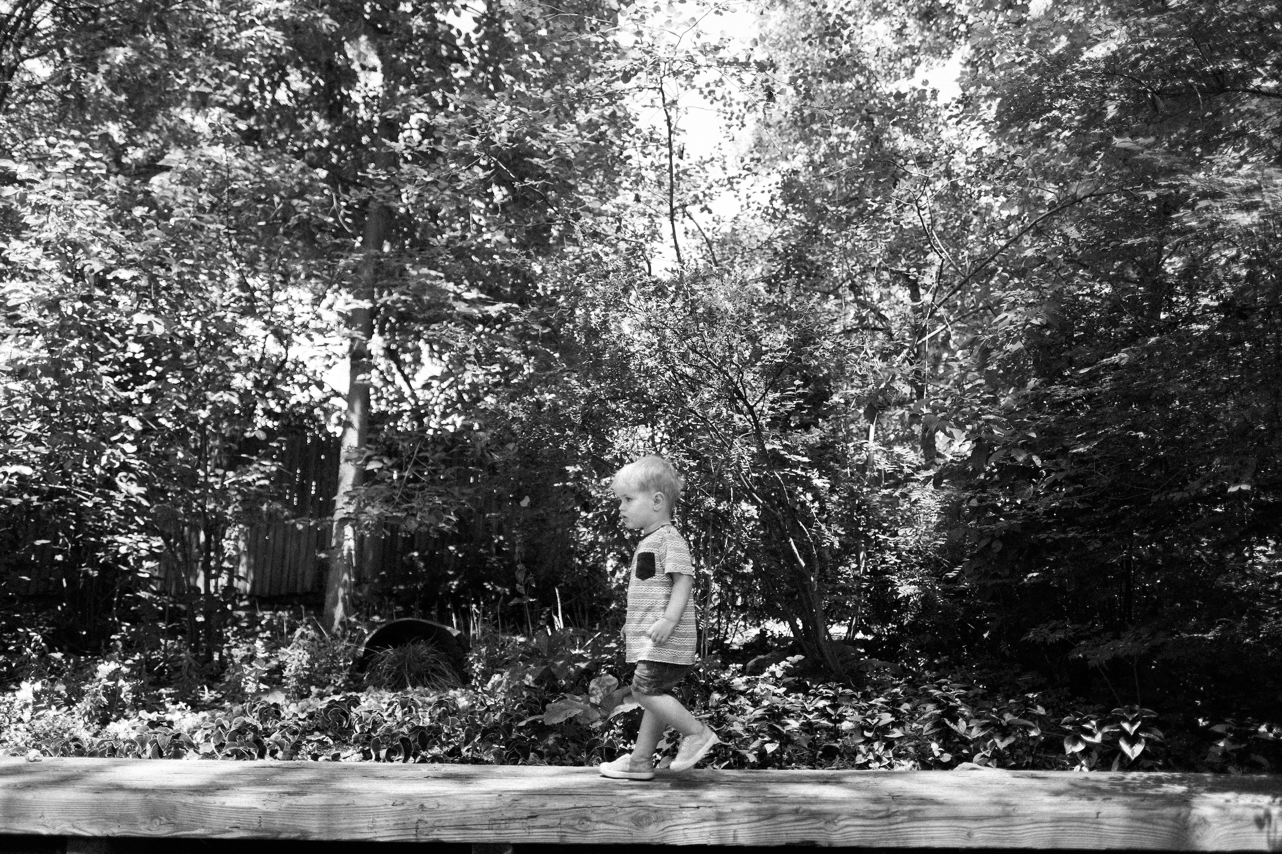 The Denver Zoo - 36.jpeg