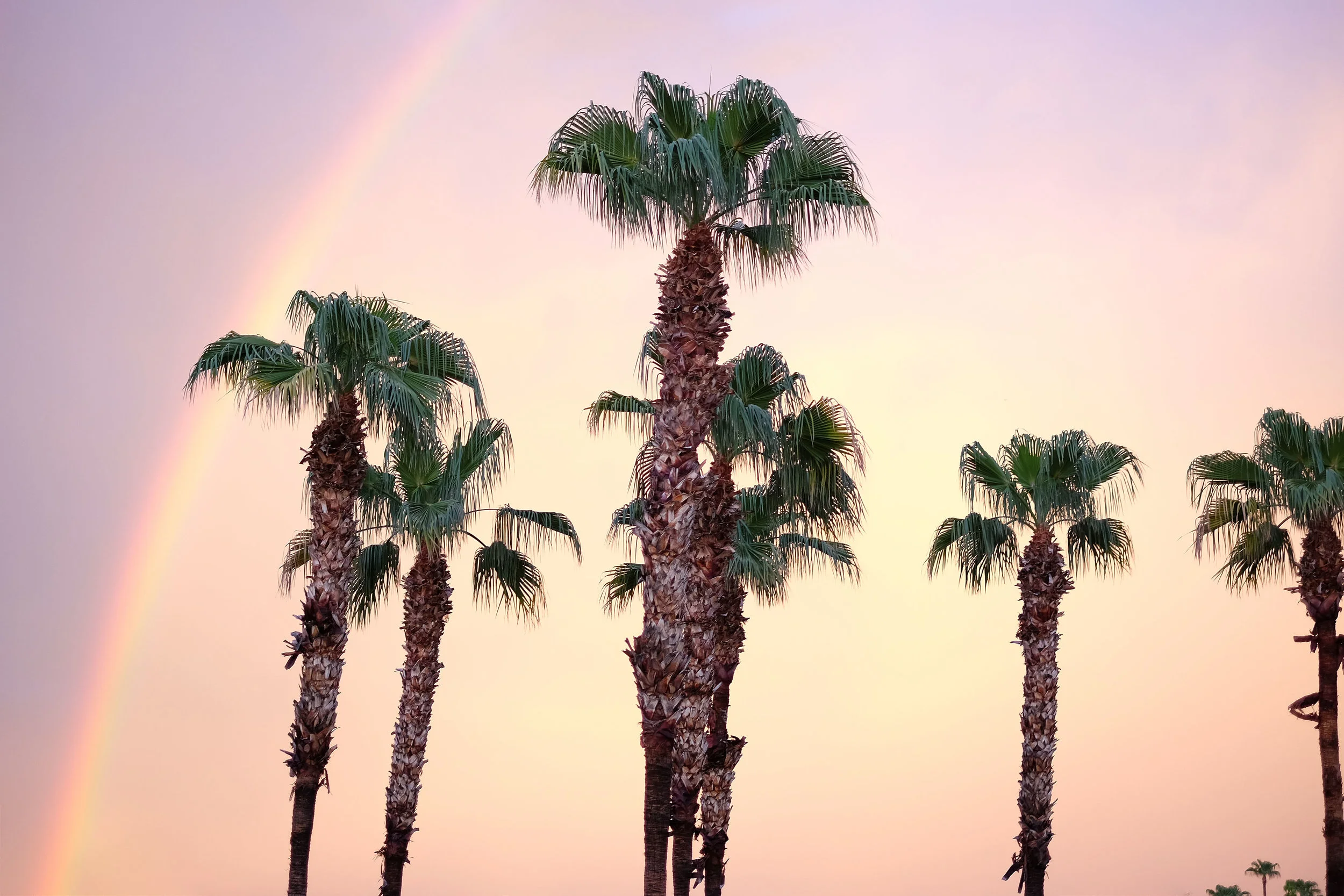 Scottsdale, Arizona