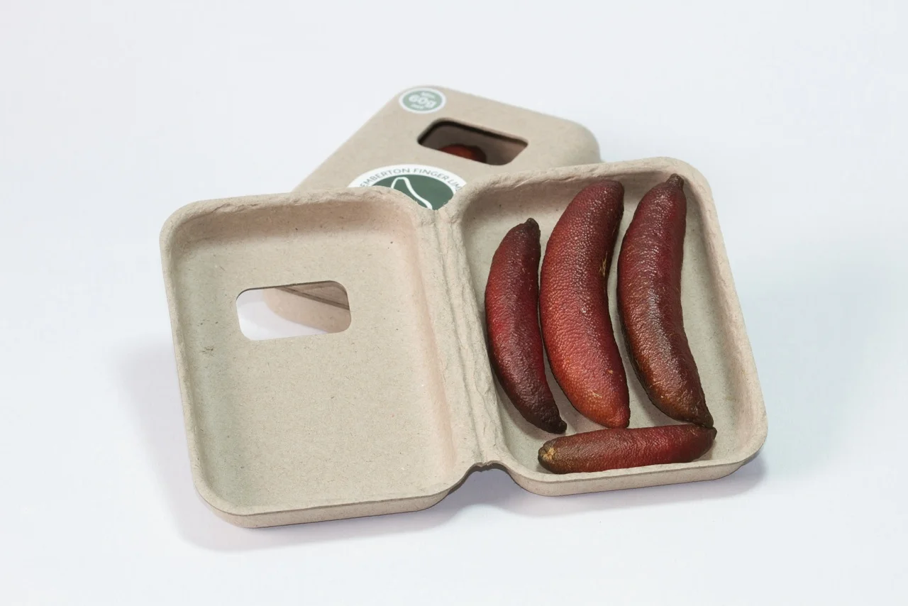 Pemberton Finger Lime 60g Retail Clamshell