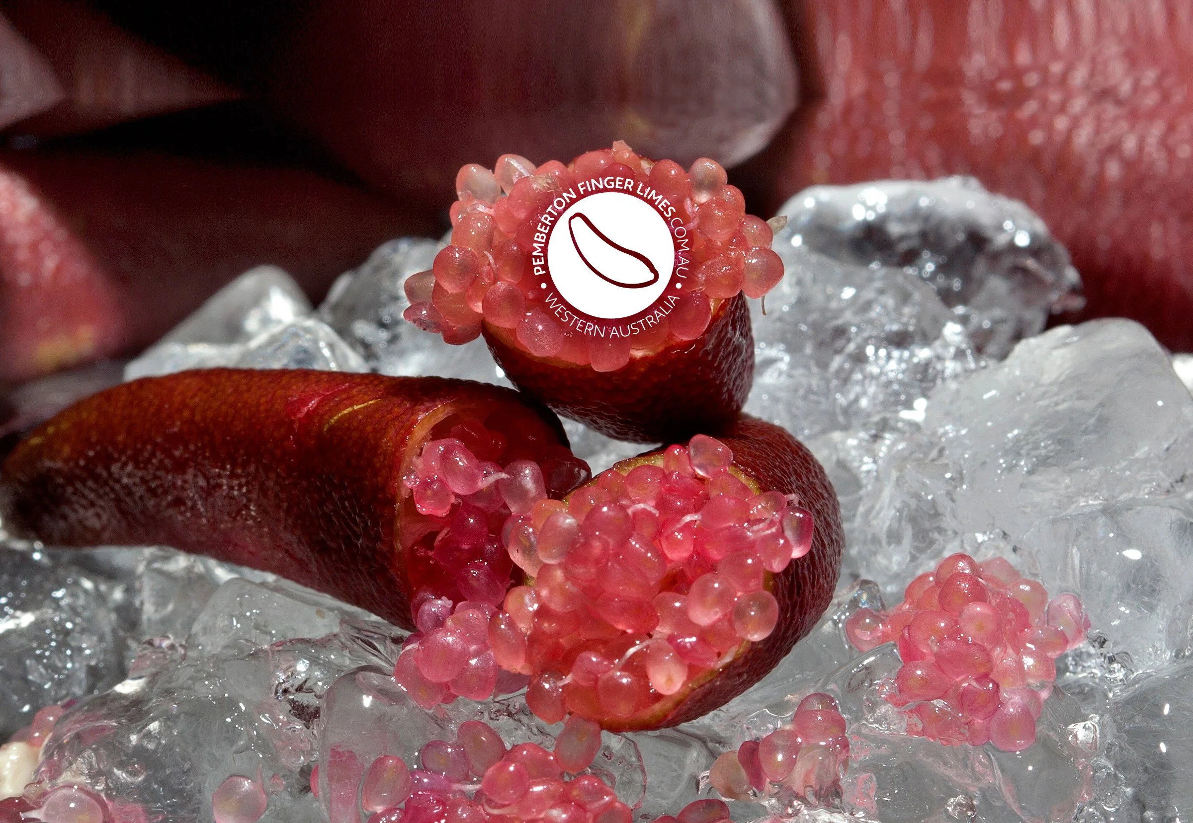 Master_Page_&_Logo_80 copy.jpg