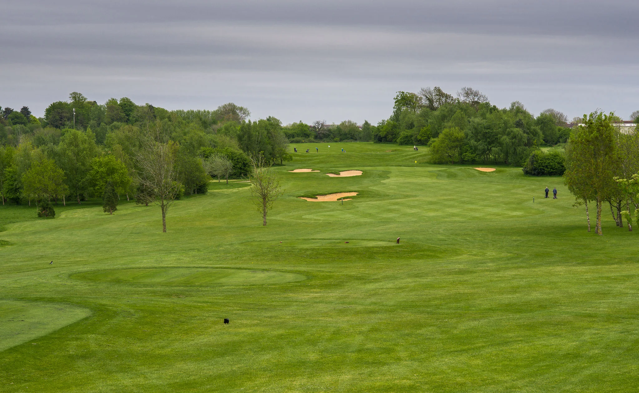 BGL_Thornbury_GolfCourse_AndyHiseman_72dpi_EmailWeb-44.jpg