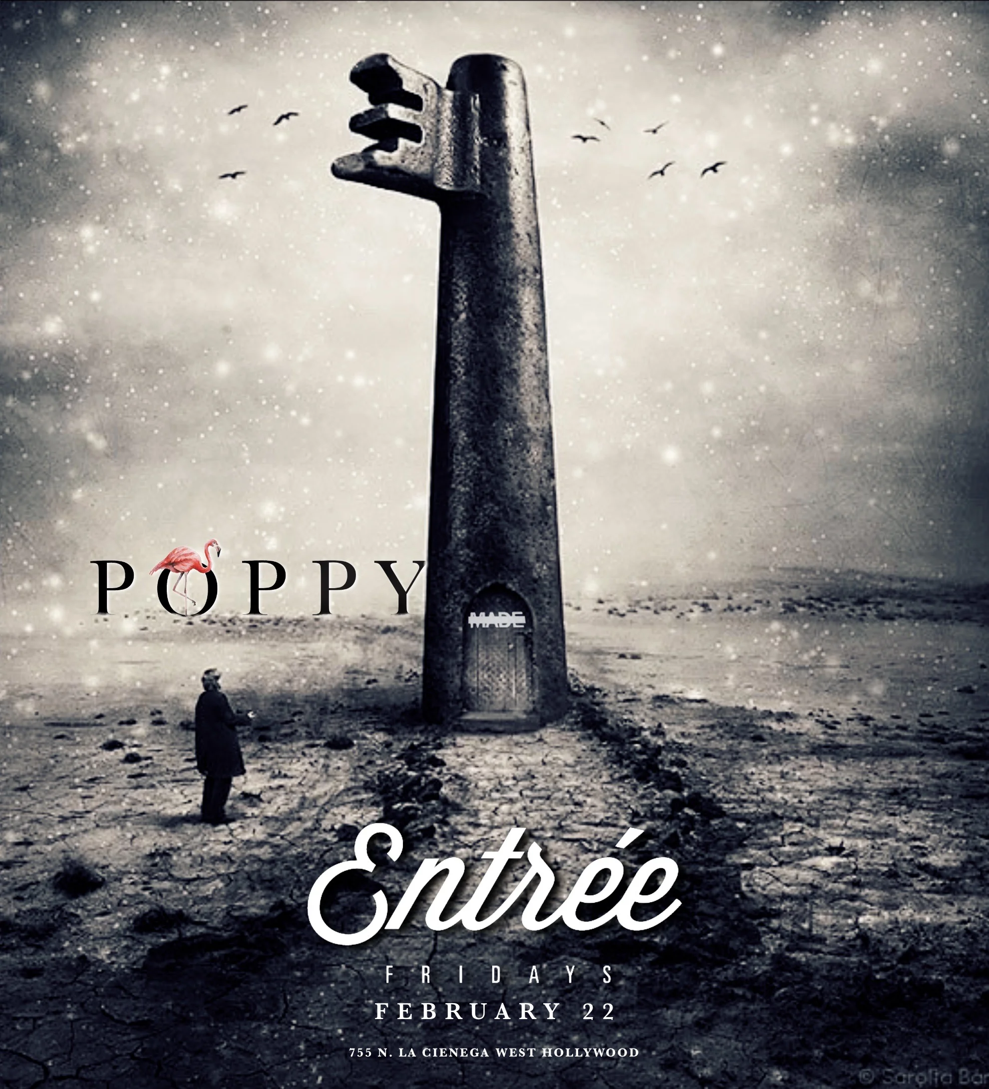 Entree Fridays at Poppy Nightclub, February 22, 2019
