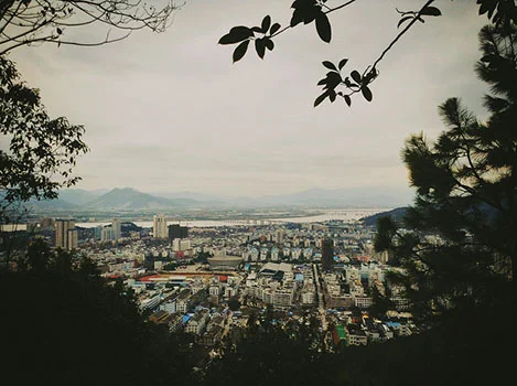 obrien_city_view.jpg