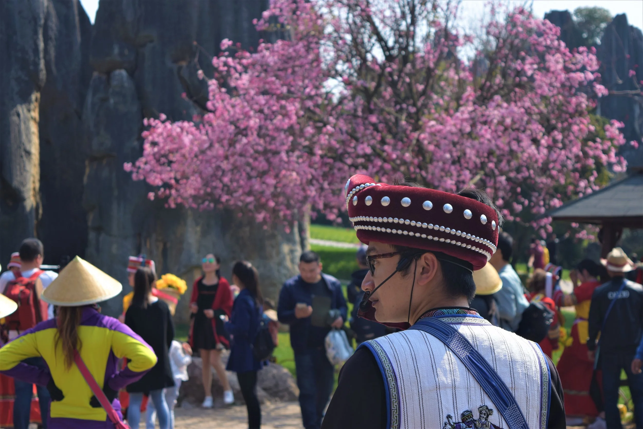 Incoming Educational Ambassador Information, 2017