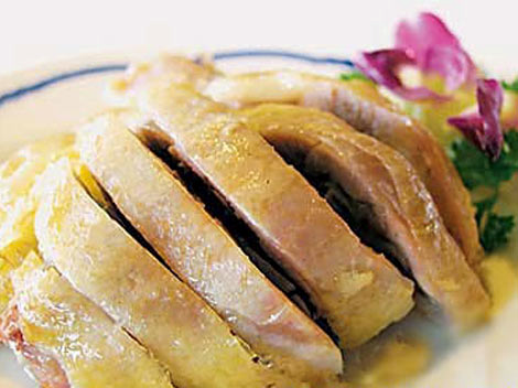 Duck